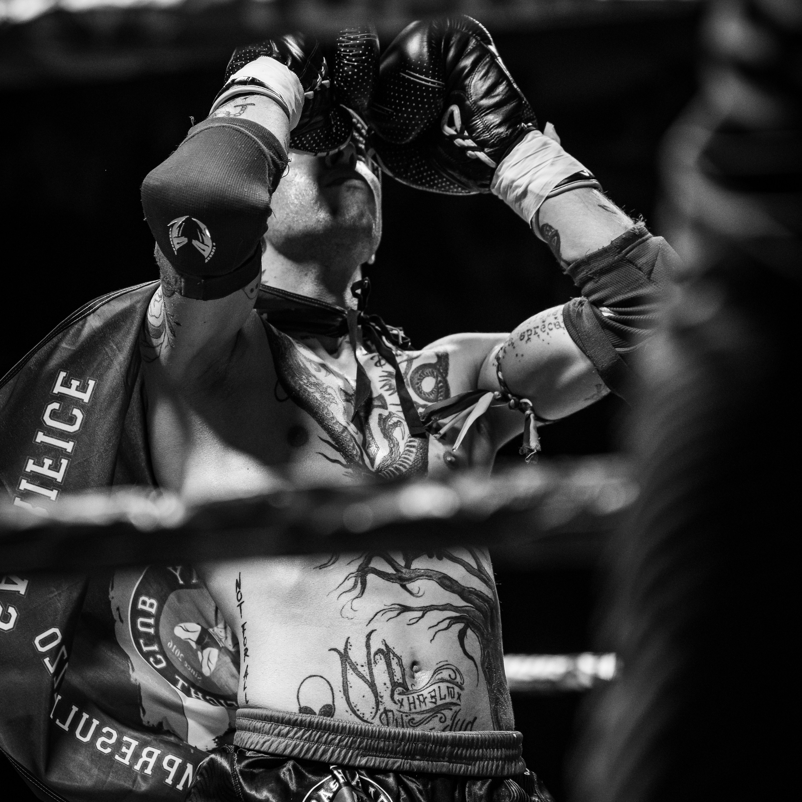 Evento Top Level Fighters Stazione Birra. Fotografo romano!