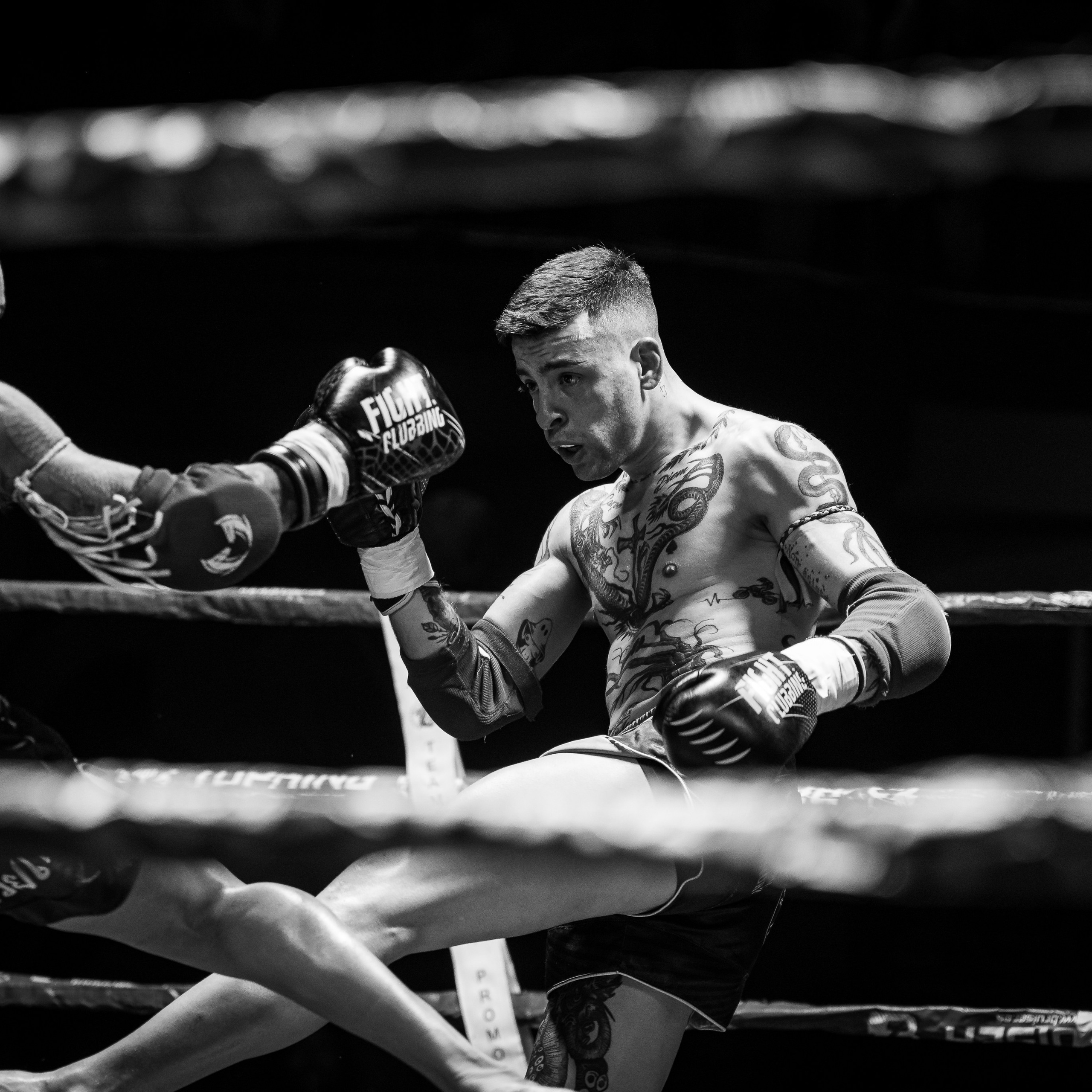 Evento Top Level Fighters Stazione Birra. Fotografo romano!