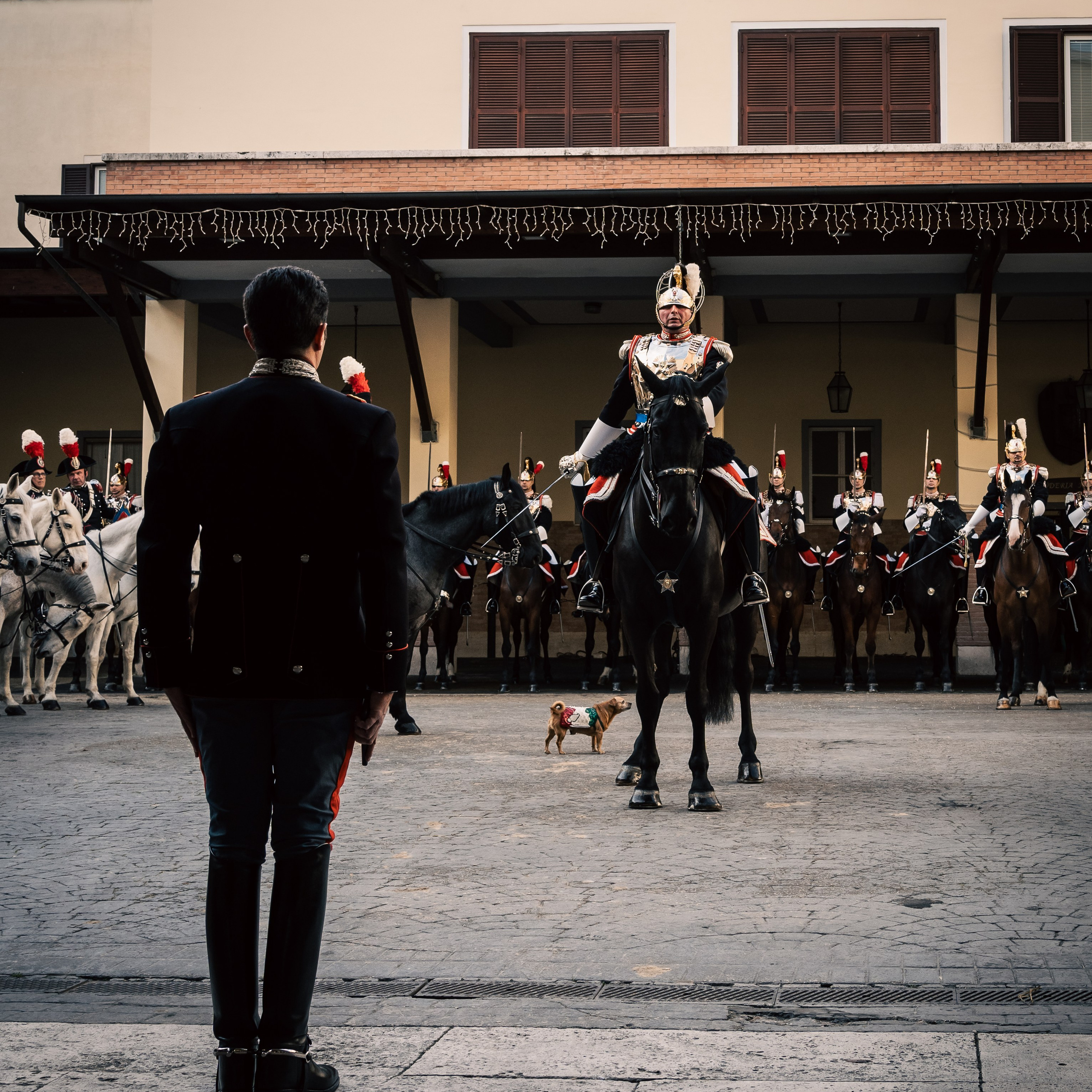 Cambio della Guardia Reggimento Corazzieri. Fotografo romano!