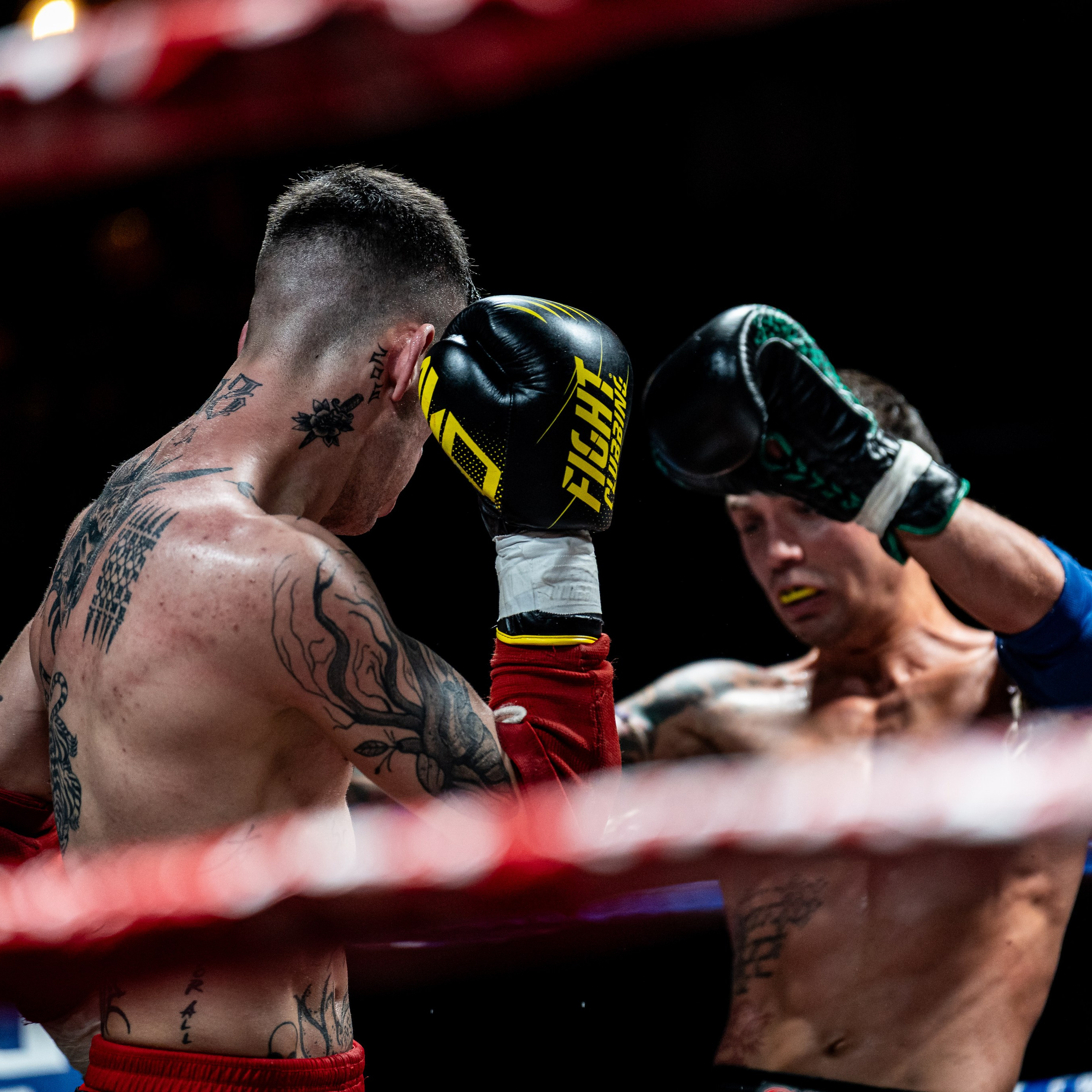 Evento Top Level Fighters Stazione Birra. Fotografo romano!