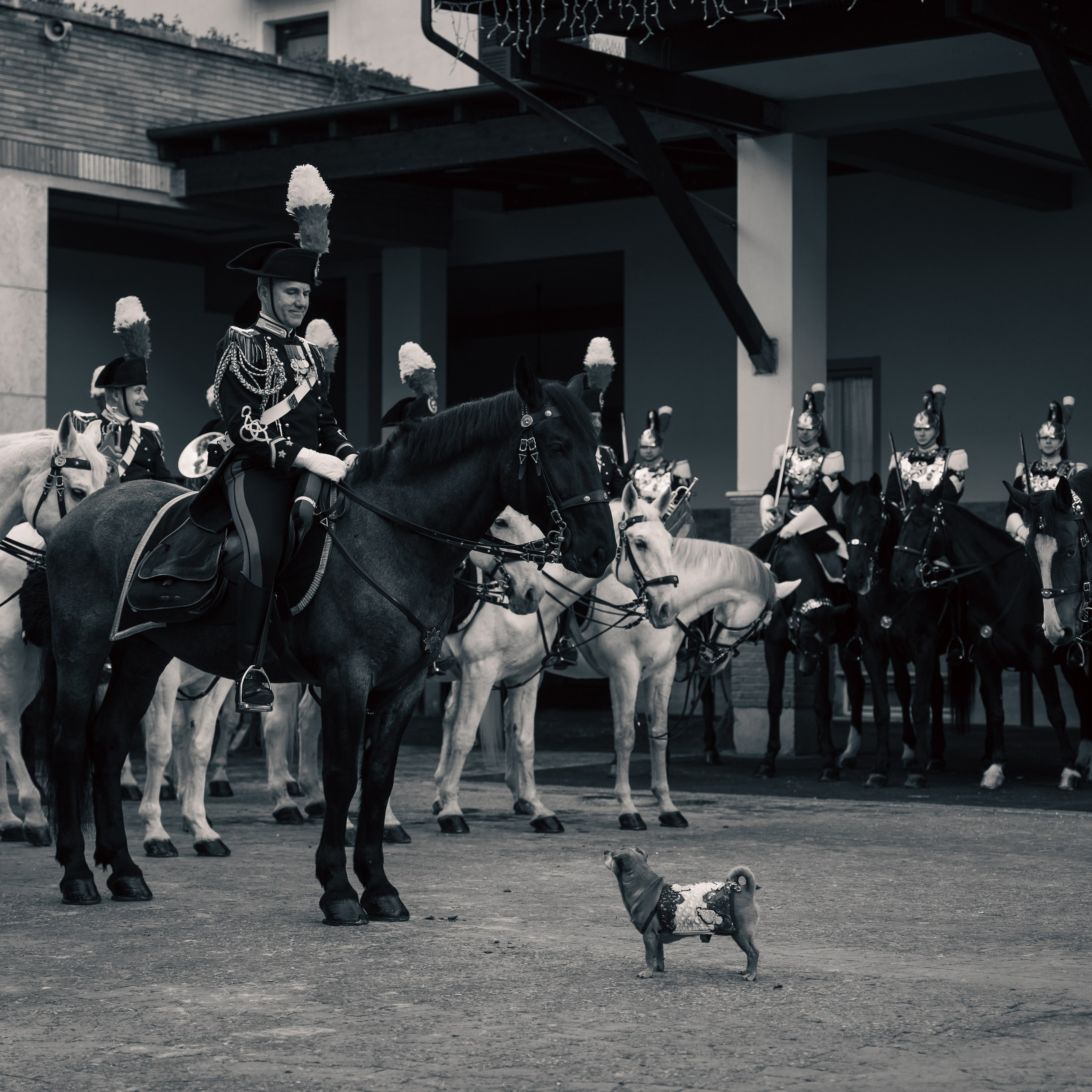 Cambio della Guardia Reggimento Corazzieri. Fotografo romano!