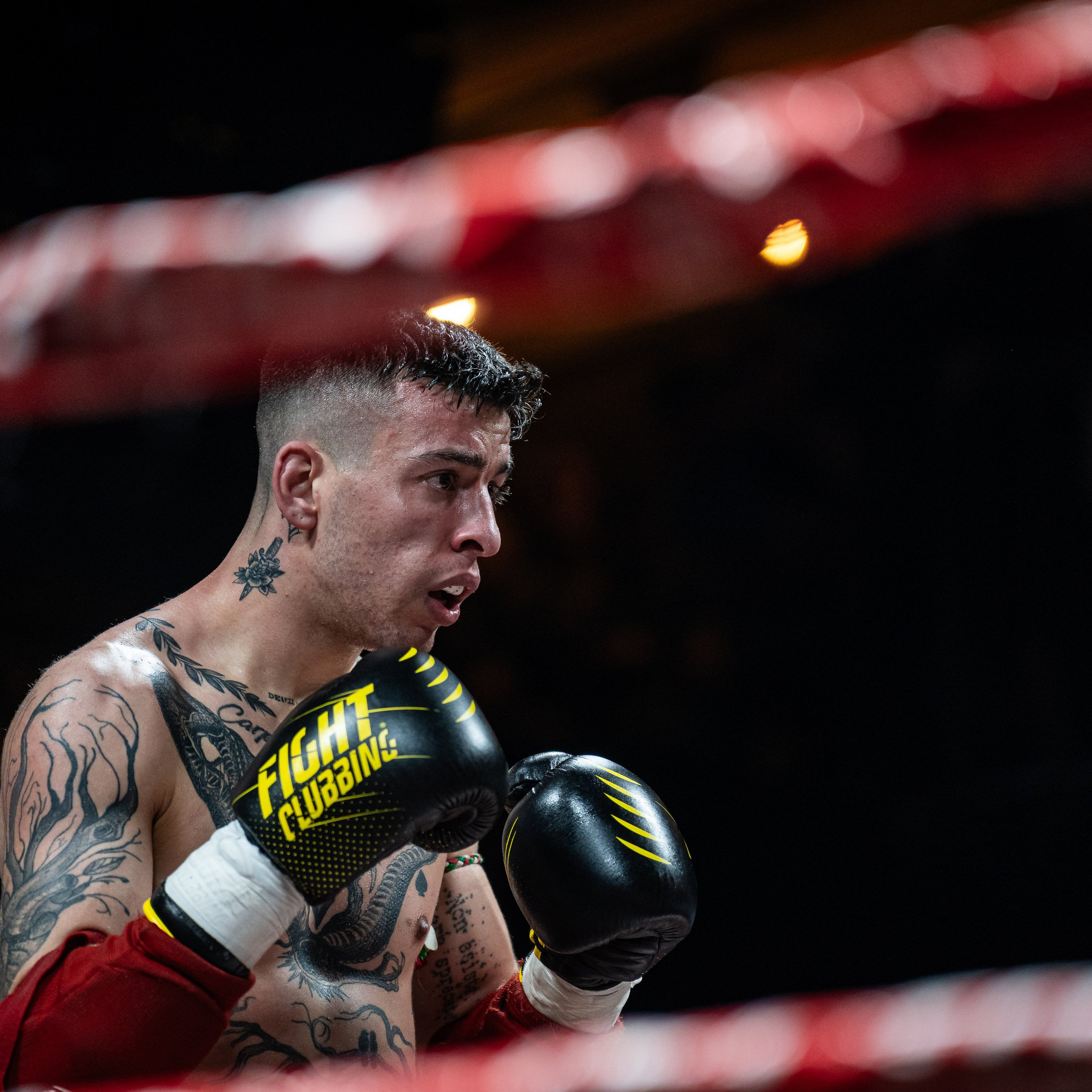 Evento Top Level Fighters Stazione Birra. Fotografo romano!