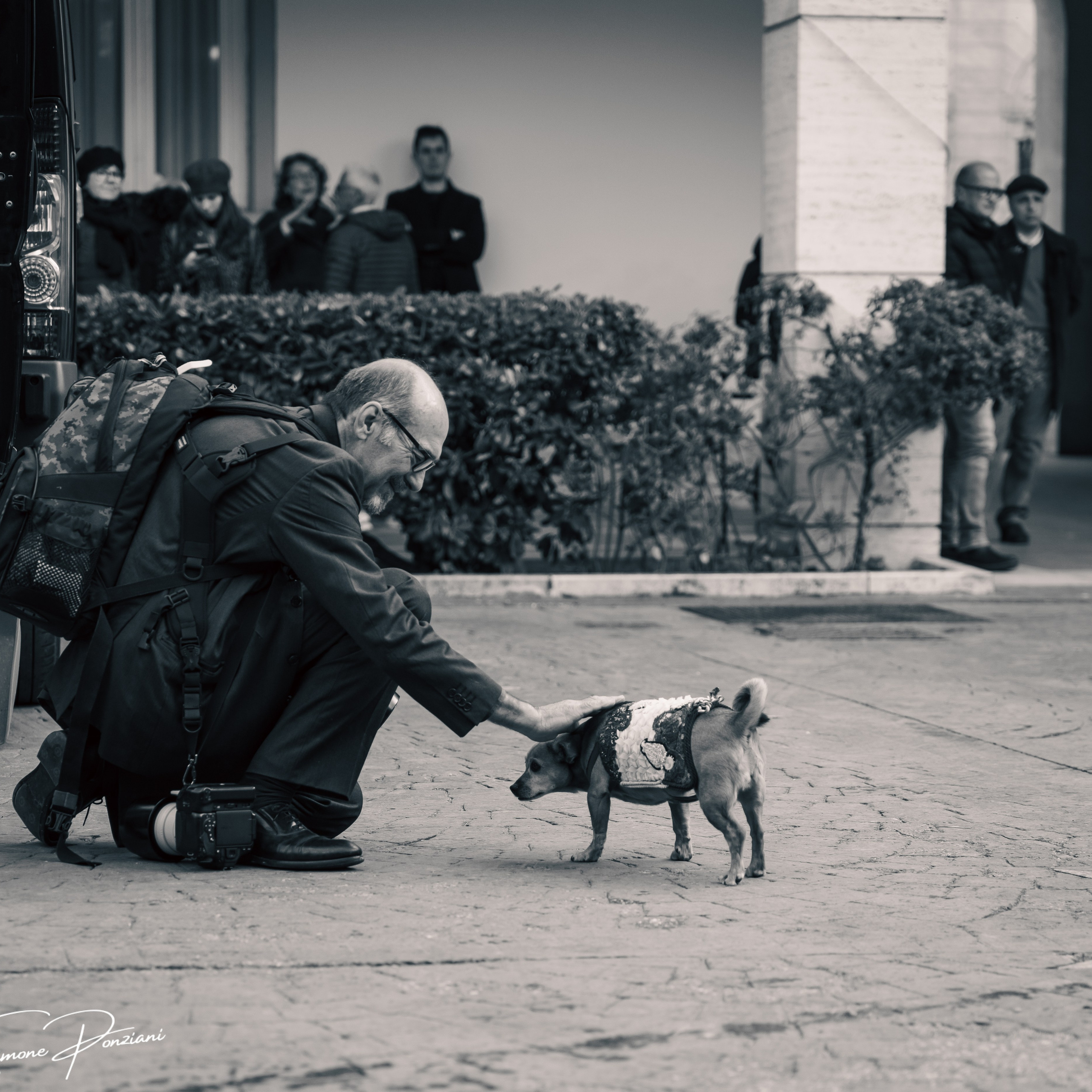 Cambio della Guardia Reggimento Corazzieri. Fotografo romano!