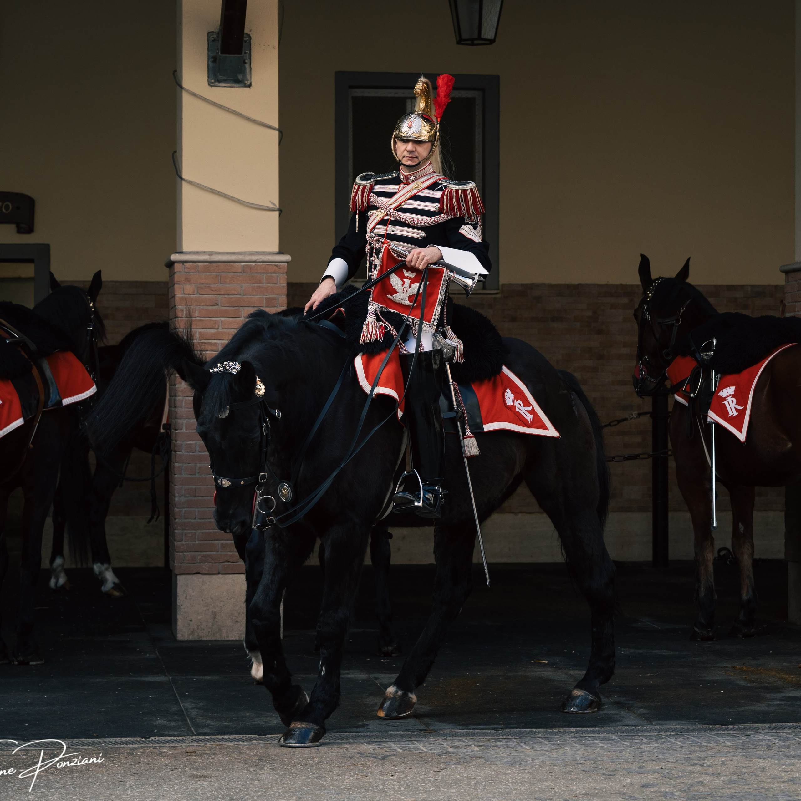 Cambio della Guardia Reggimento Corazzieri. Fotografo romano!