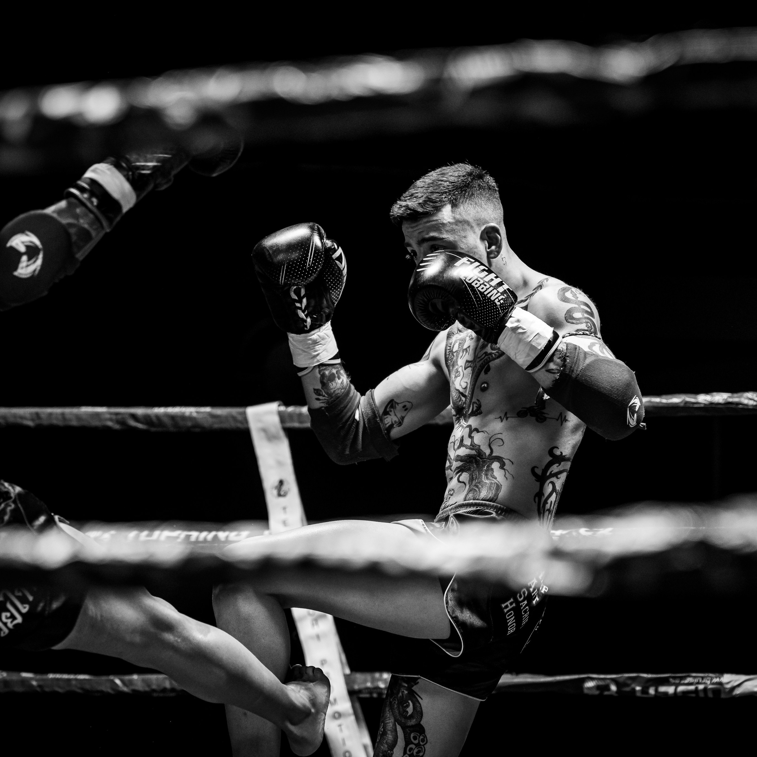 Evento Top Level Fighters Stazione Birra. Fotografo romano!