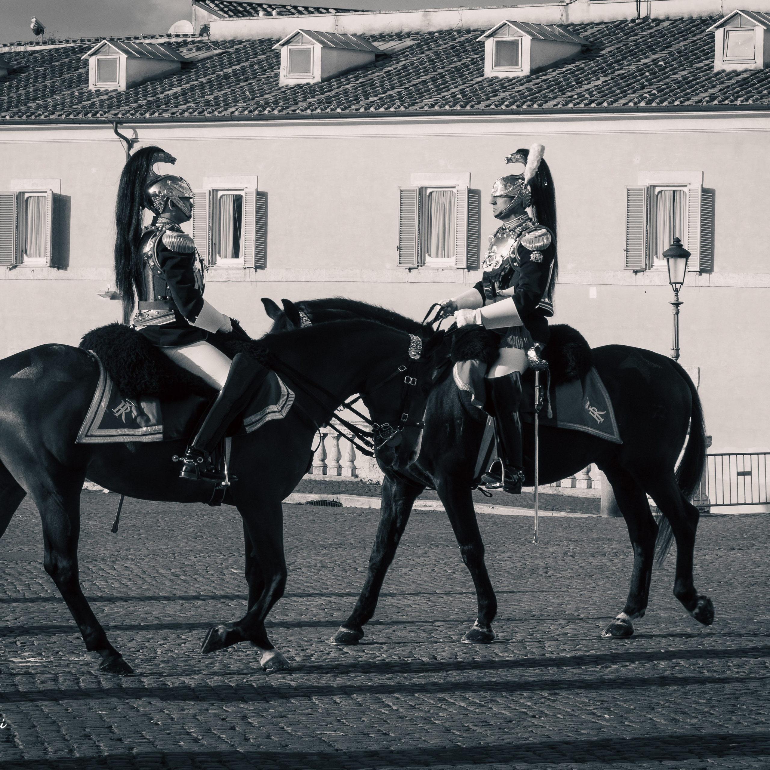Cambio della Guardia Reggimento Corazzieri. Fotografo romano!