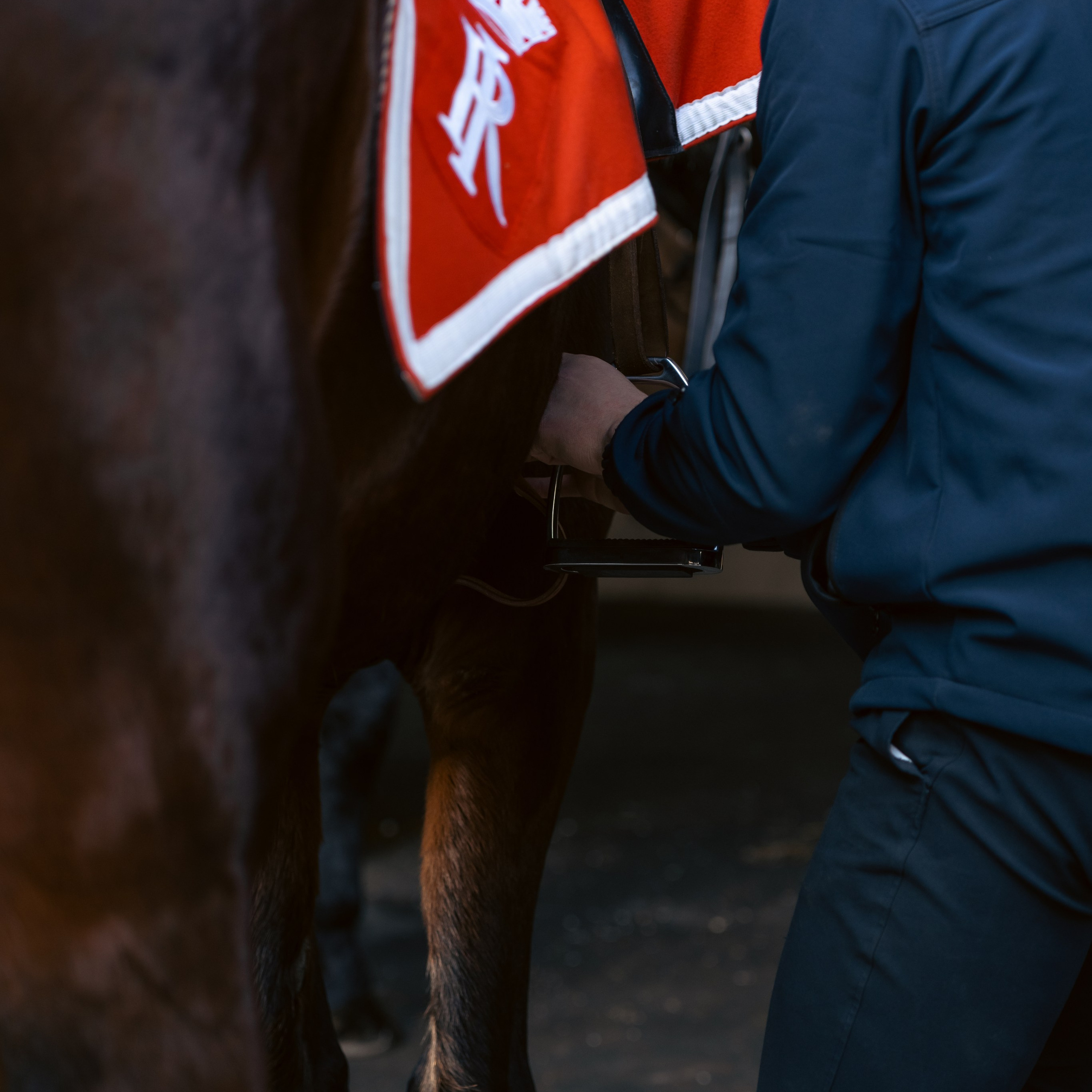 Cambio della Guardia Reggimento Corazzieri. Fotografo romano!