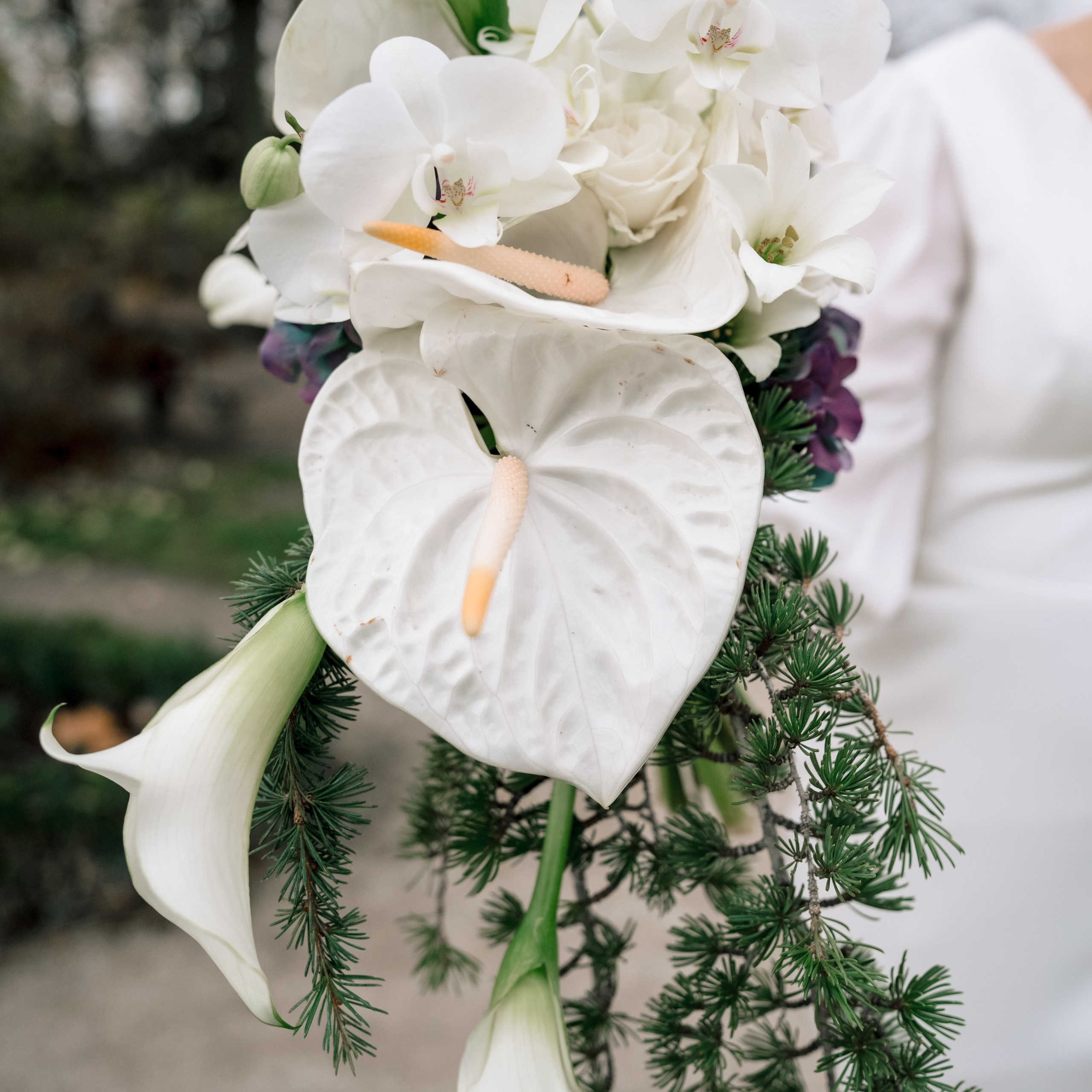 Bewertungen Hochzeitsfotografin Würzburg | Anna Saribekyan