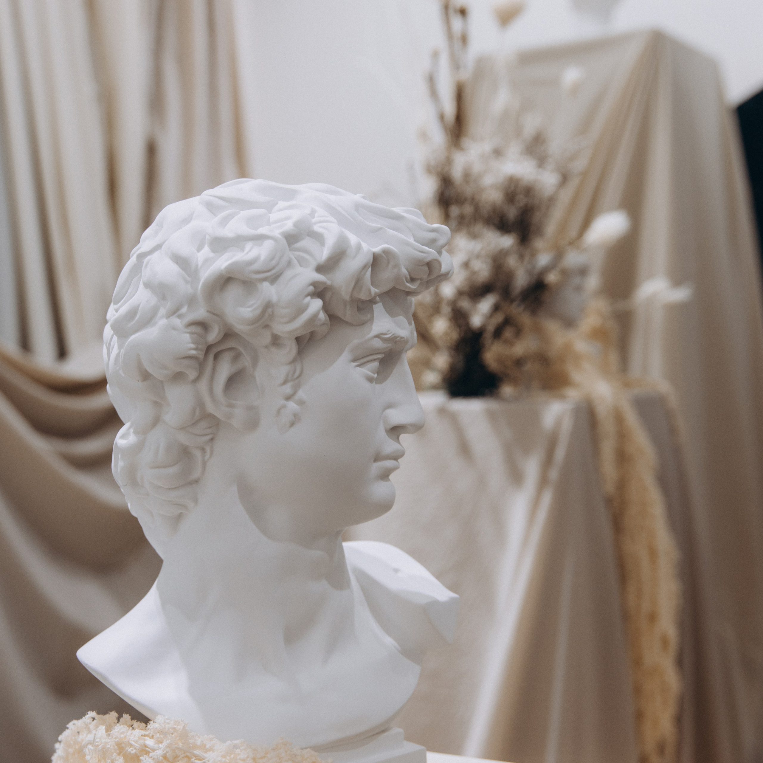 THE ART OF RENEWAL/ bohicare (2024)