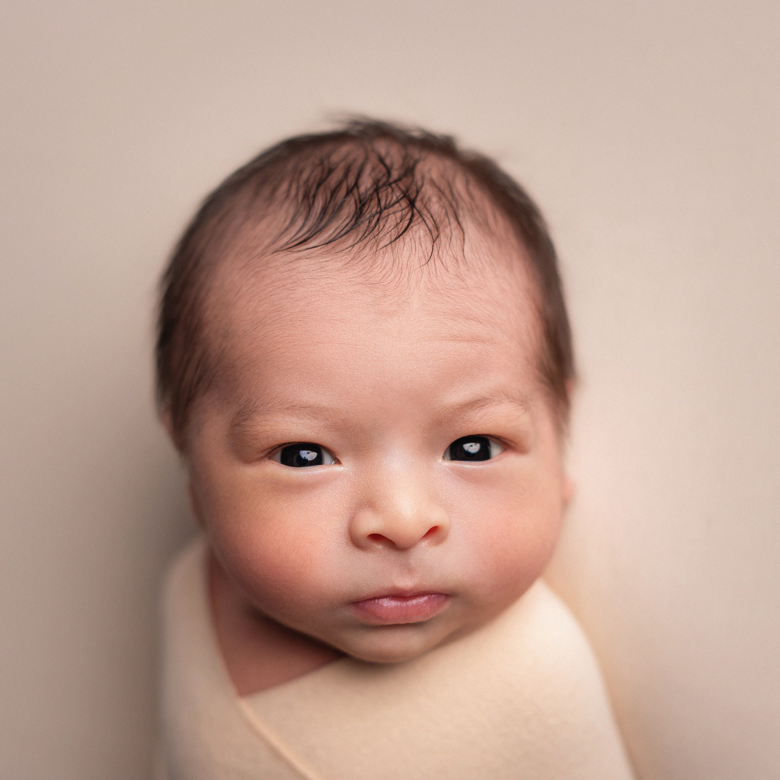 Reviews. In-home newborn photography Raleigh & area Katya Kulikova