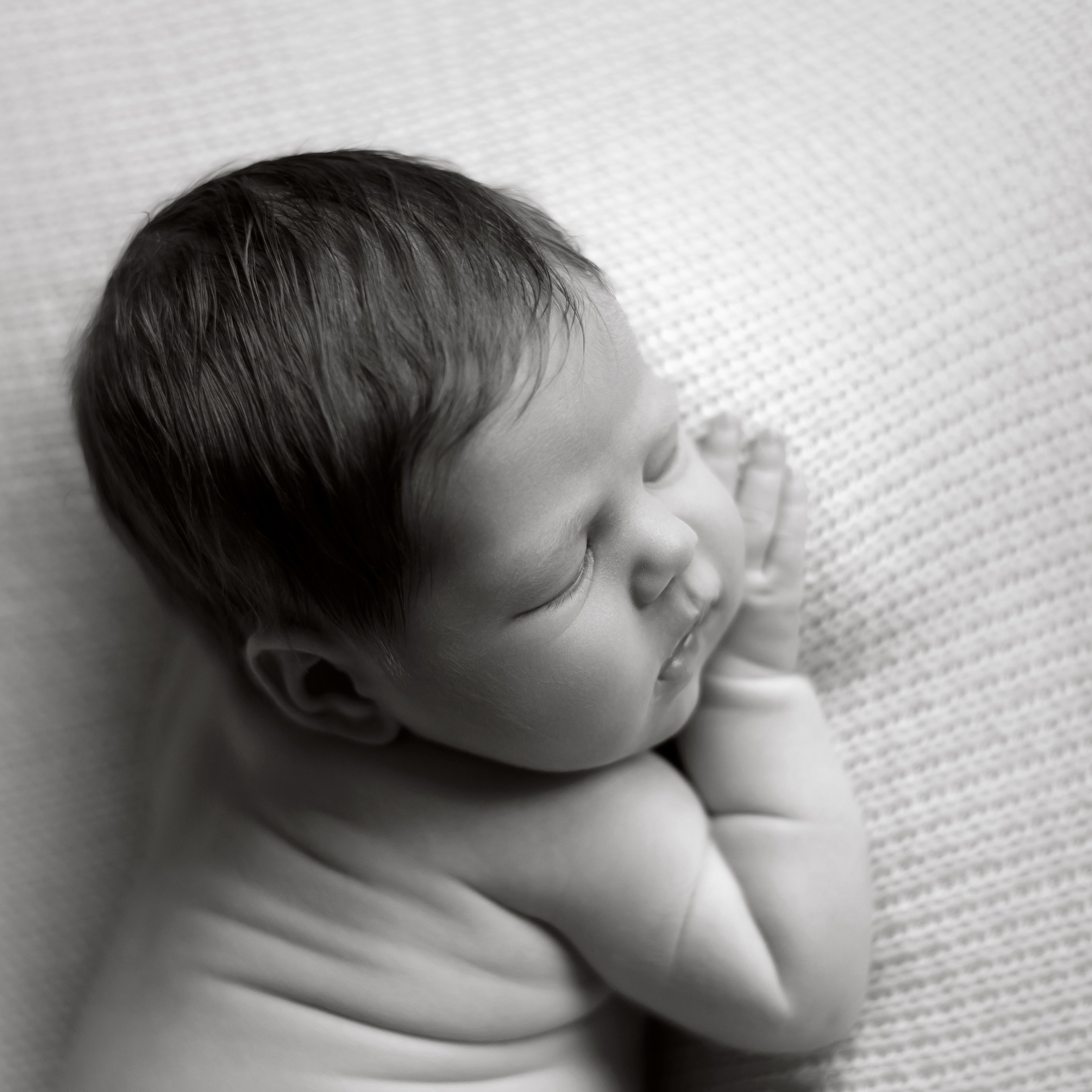 Reviews. In-home newborn photography Raleigh & area Katya Kulikova