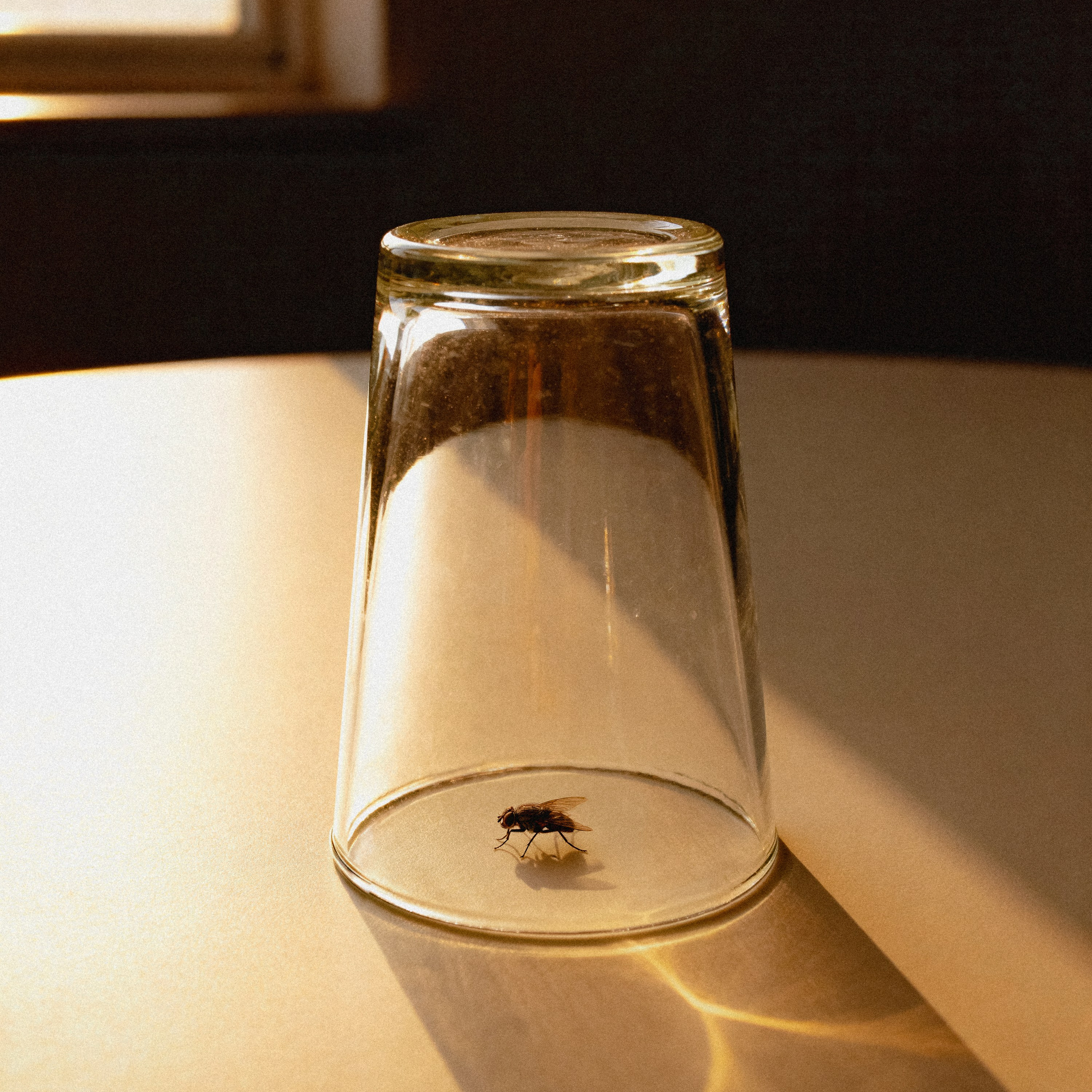 Images of things and items