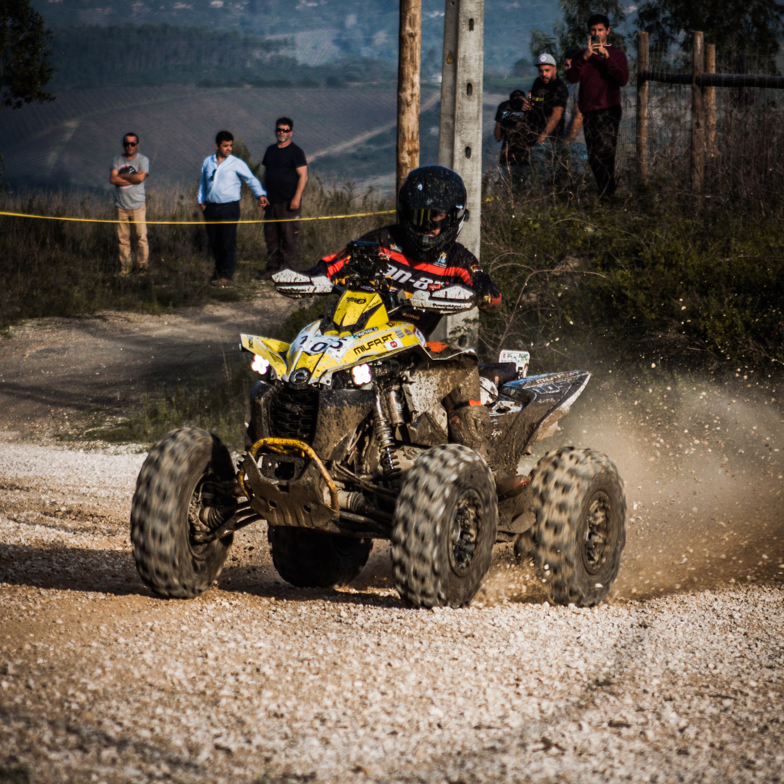 Quad