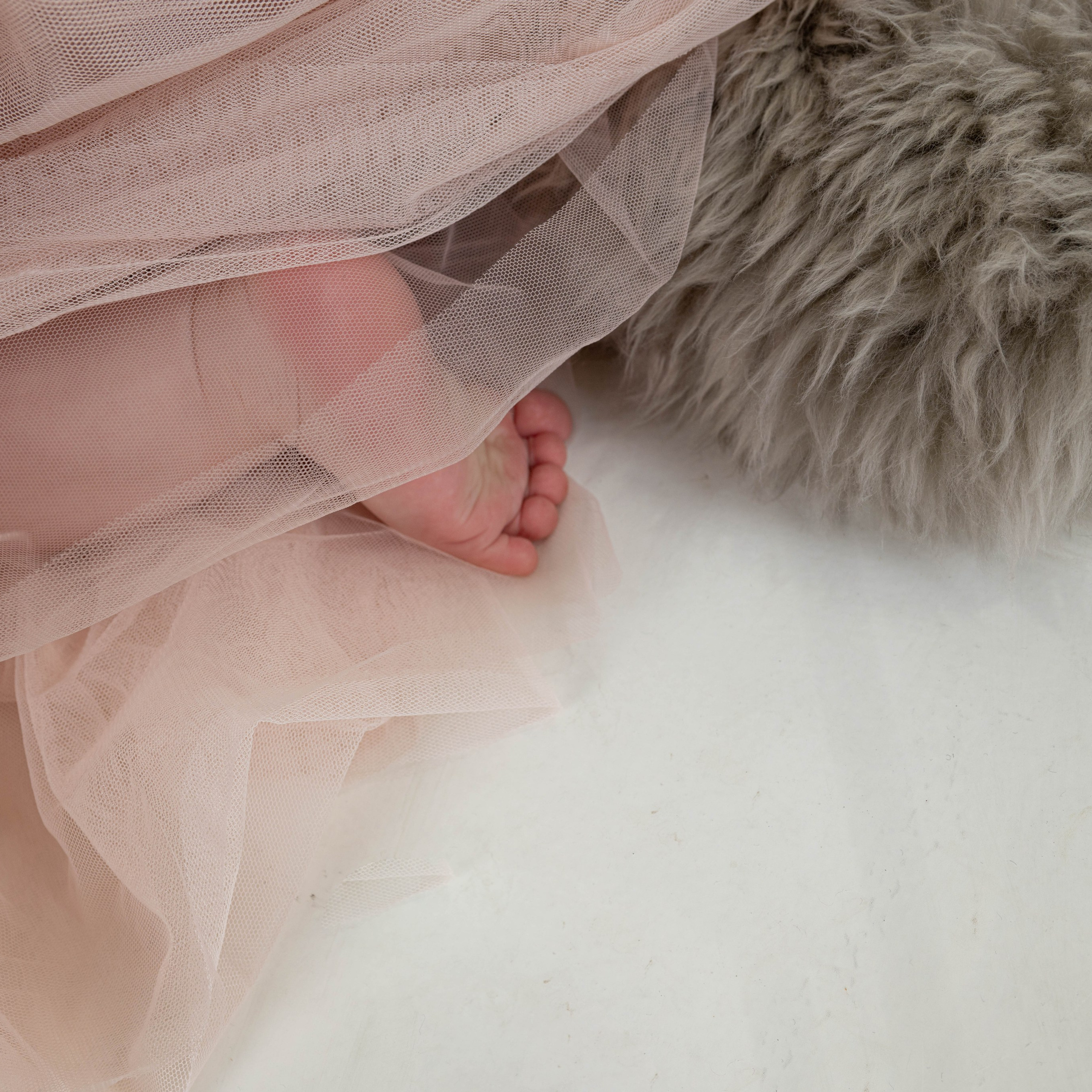 Anmeldelser. Din fotograf i Narvik kommune