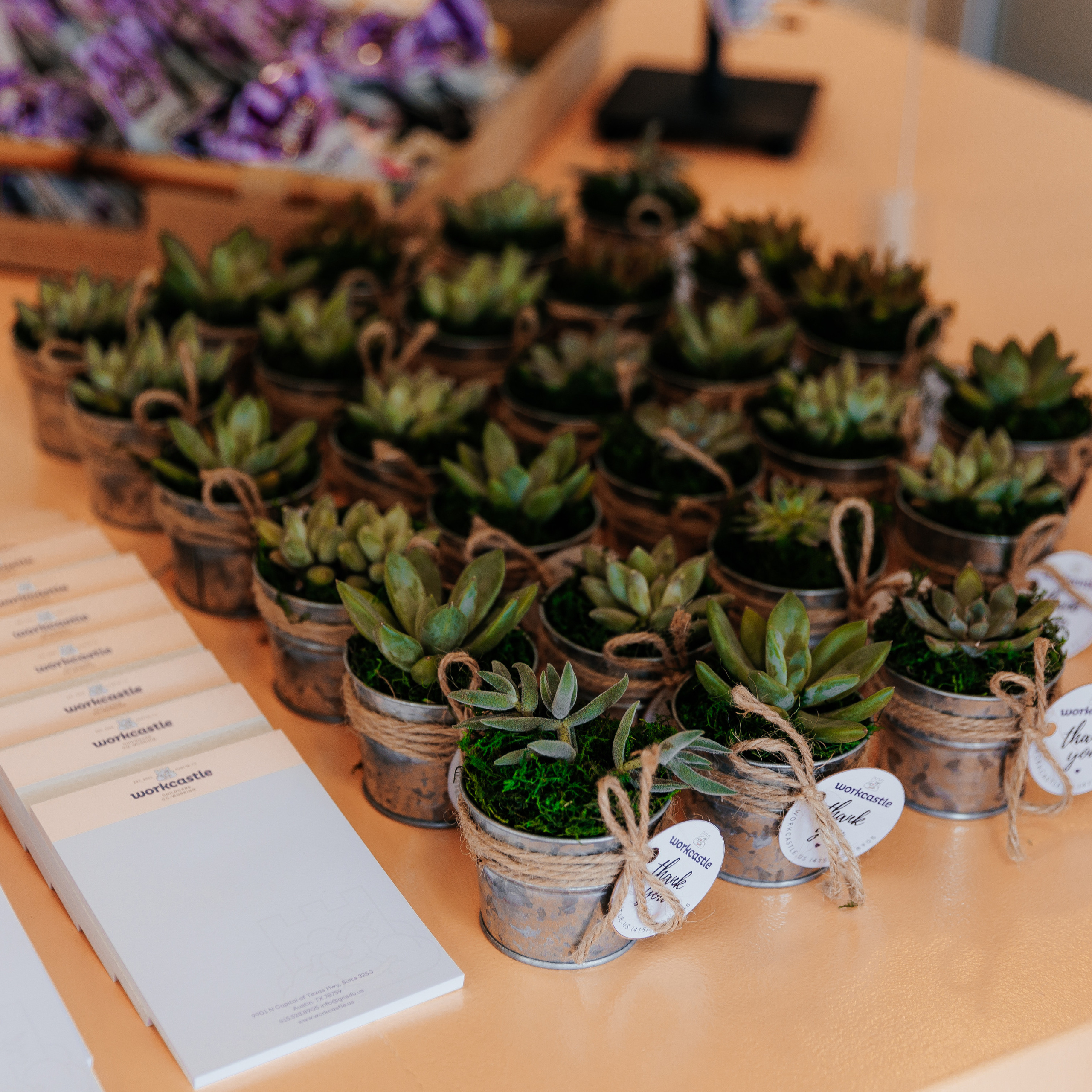 Your Feedbacks. Professional Photography in Austin, TX — Family, Newborn, Maternity