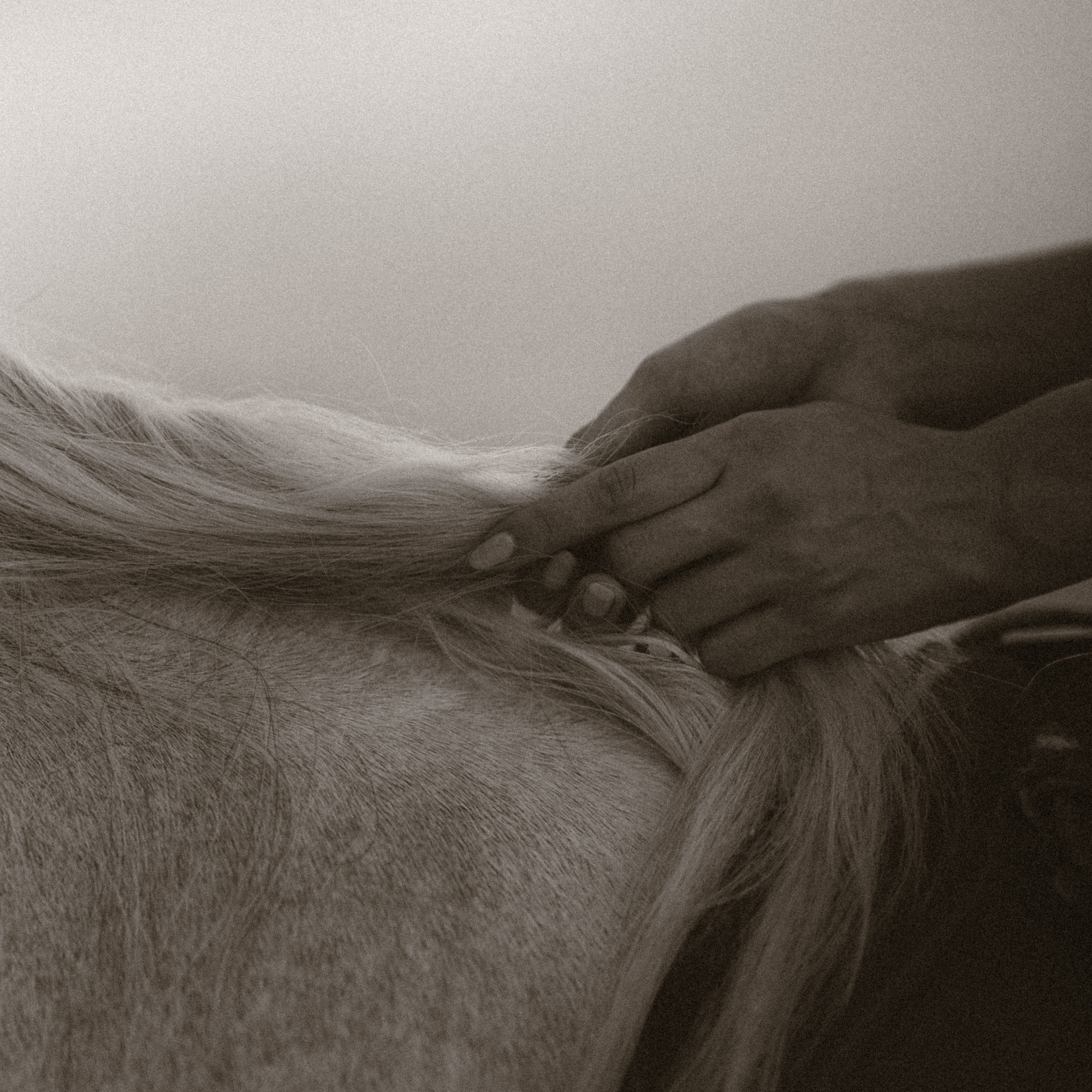 Отзывы. Персональный и коммерческий фотограф