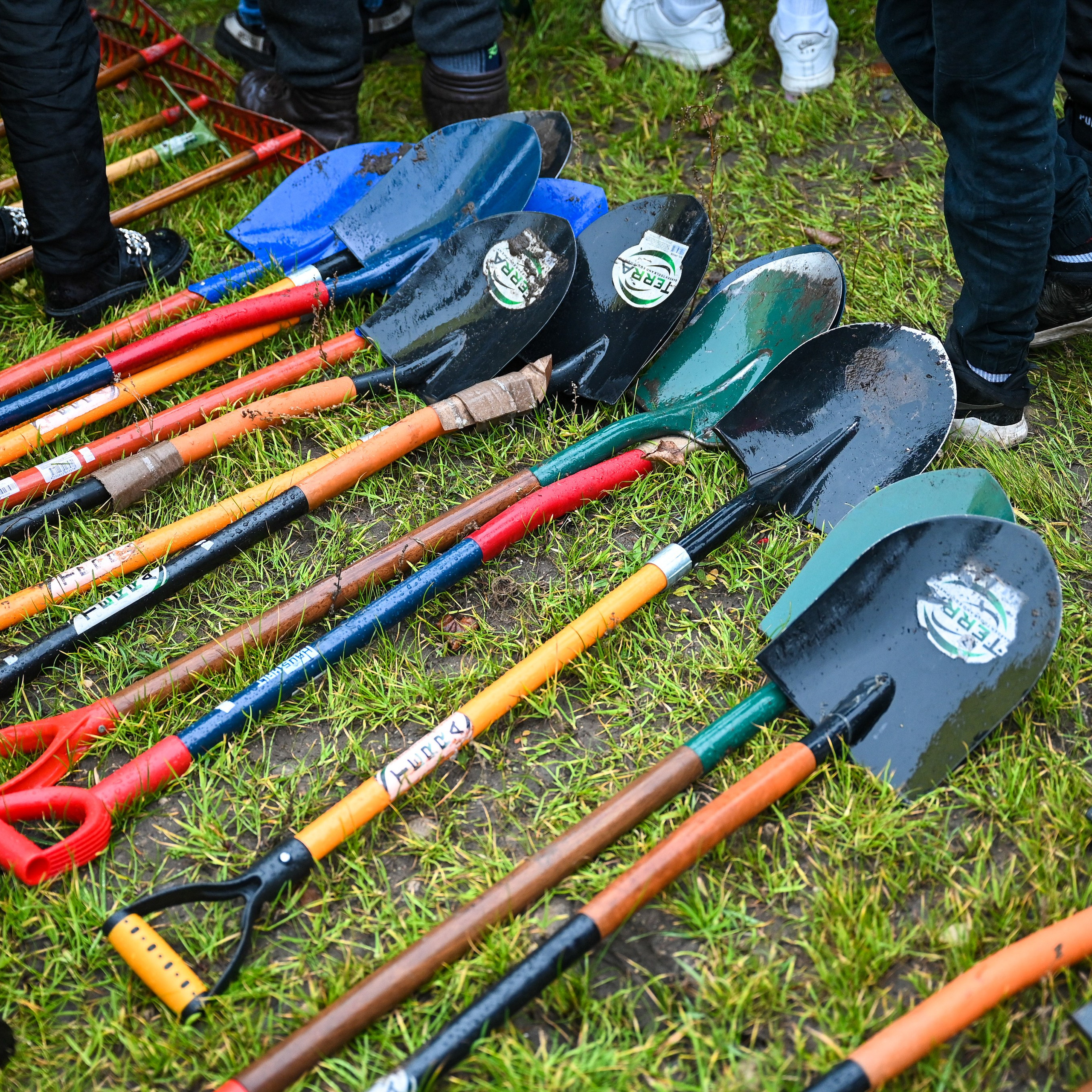 Koku stādīšana Rēzekne stacijas iela