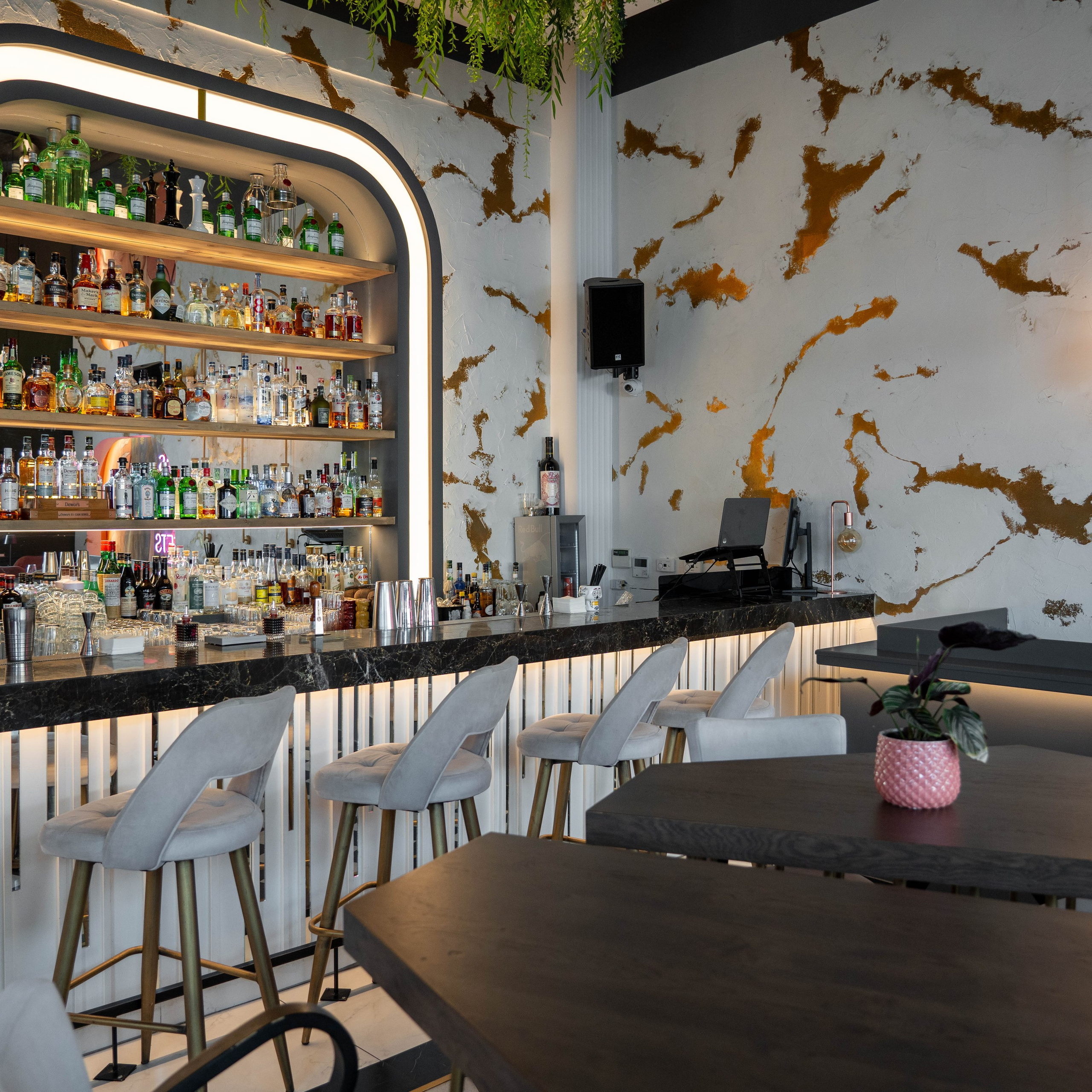 Professional food photography capturing gourmet dishes, creative food styling, and authentic dining experiences with a luxury aesthetic.