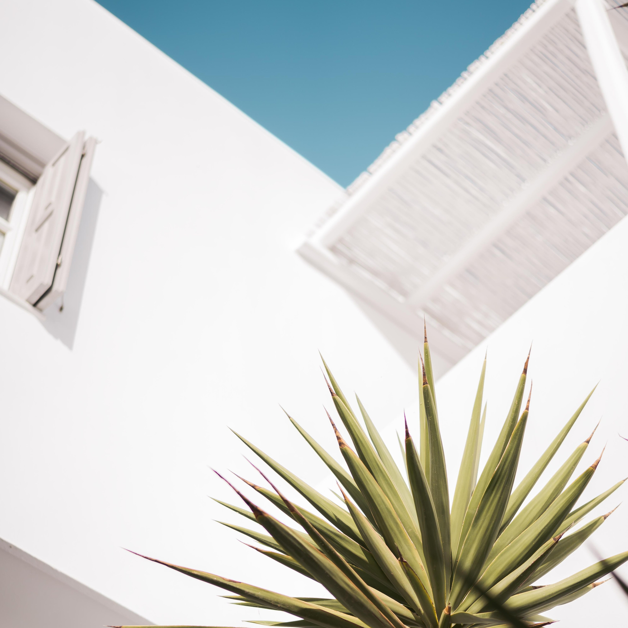 Hospitality Photography & Videography | Drone — Lifestyle — Architecture. SK Productions | Hospitality — Yacht — Real Estate — Gastronomy| Photography and Videography