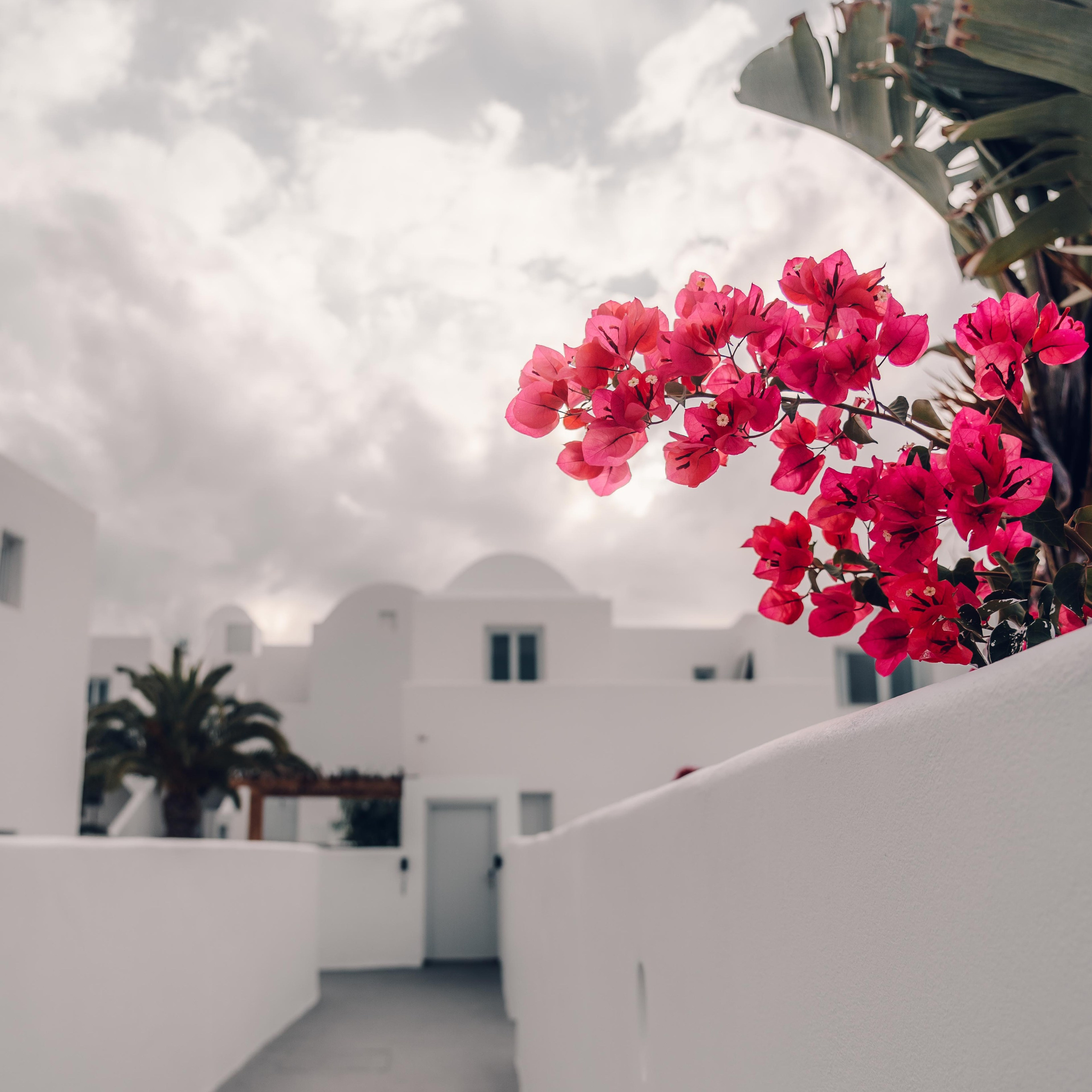 Hospitality Photography & Videography | Drone — Lifestyle — Architecture. SK Productions | Hospitality — Yacht — Real Estate — Gastronomy| Photography and Videography