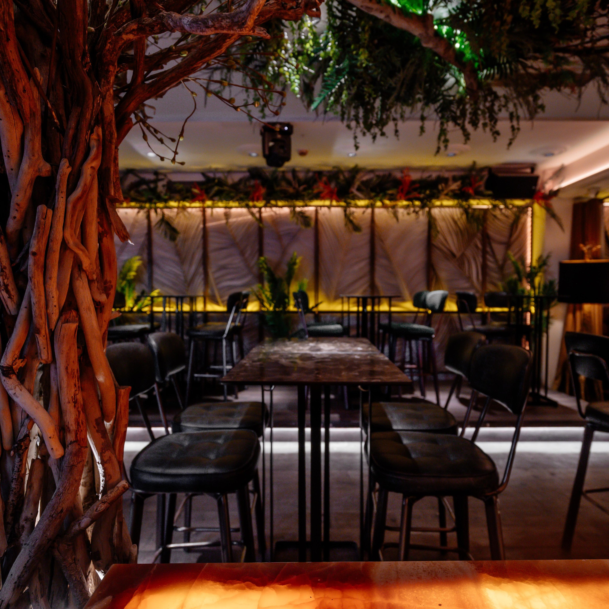 Professional food photography capturing gourmet dishes, creative food styling, and authentic dining experiences with a luxury aesthetic.