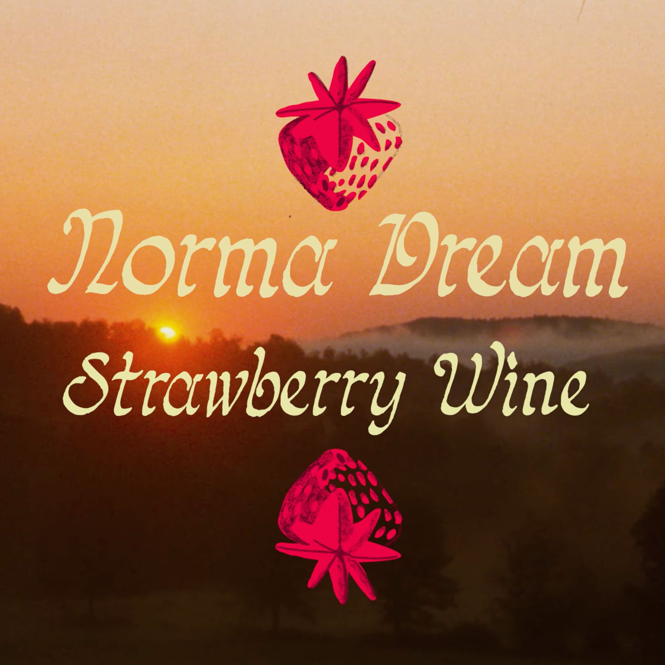 Norma Dream — Strawberry Wine (2025) | Music Video