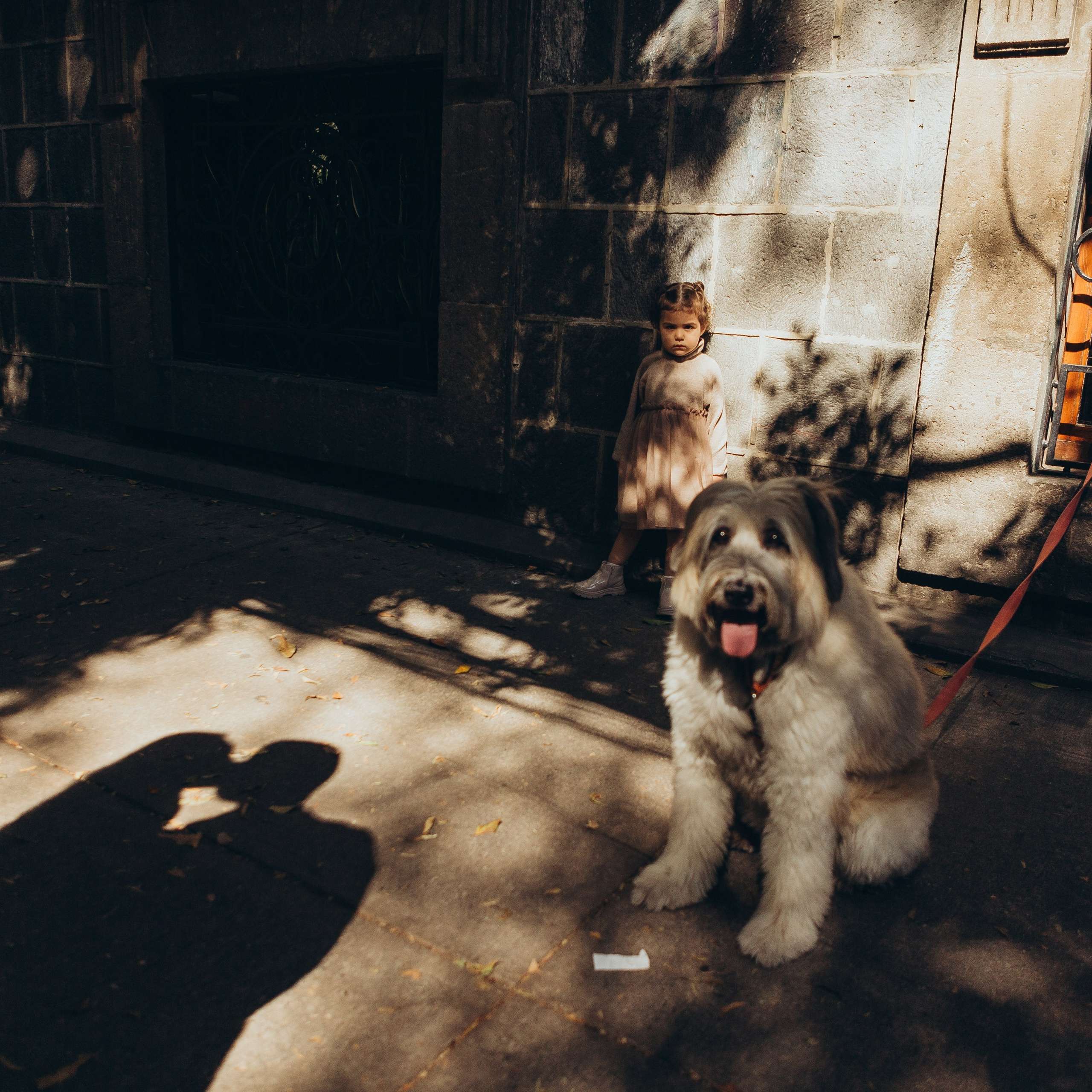 Juan, Ximena, Elena & Nash