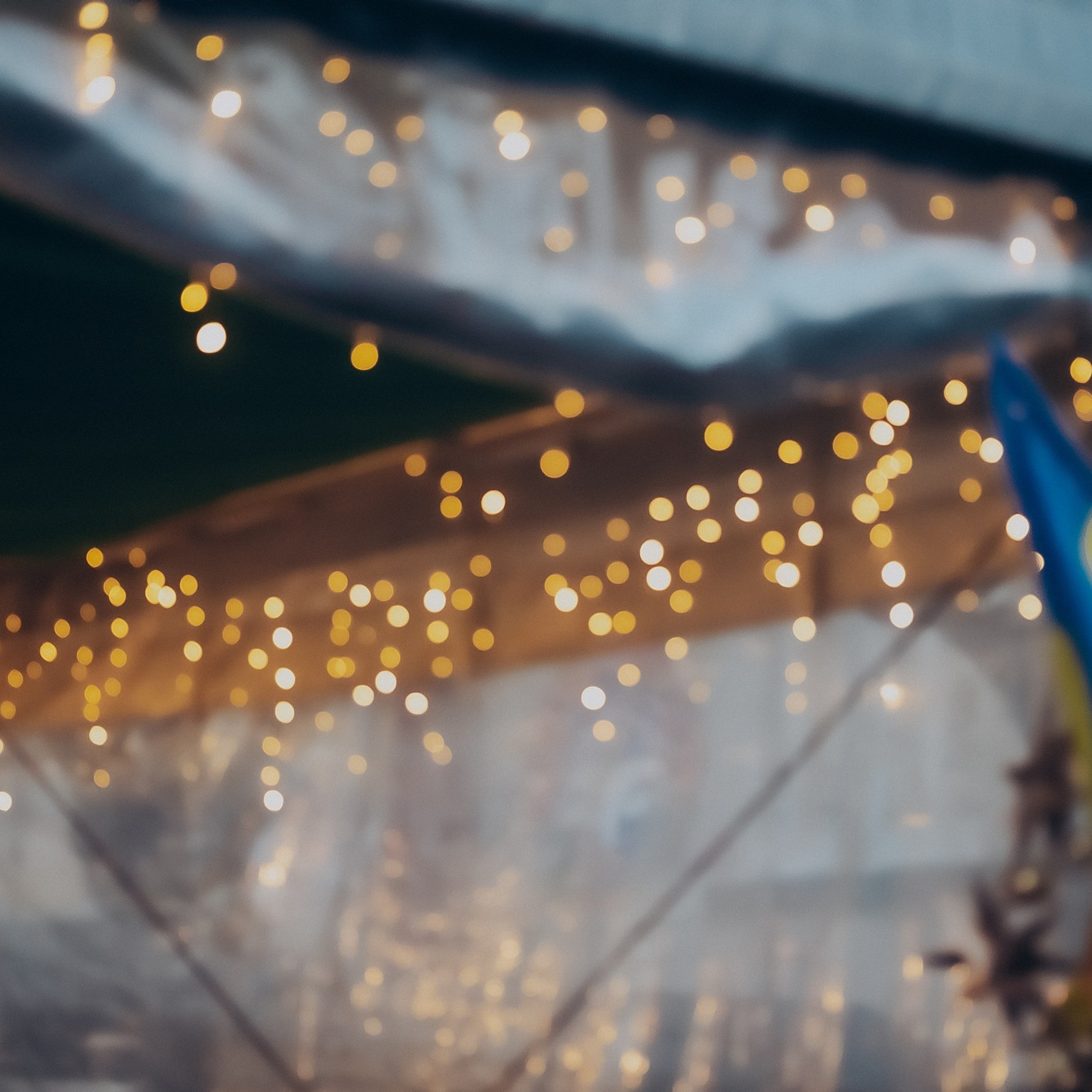 Відгуки. Валерія Сичова. Сімейний та репортажний фотограф в Португаліі