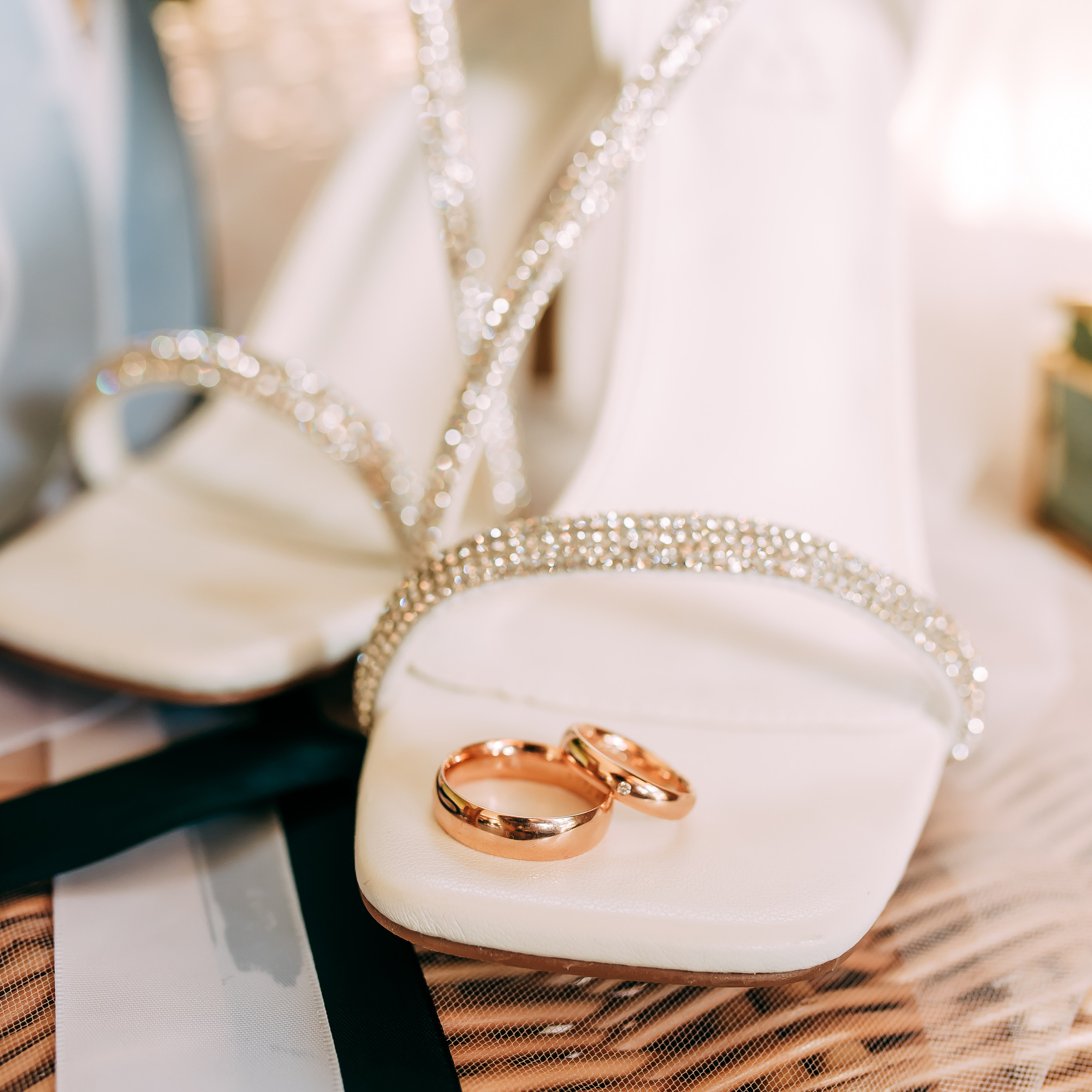 Atsauksmes. Fotogrāfe Līga Vaidere