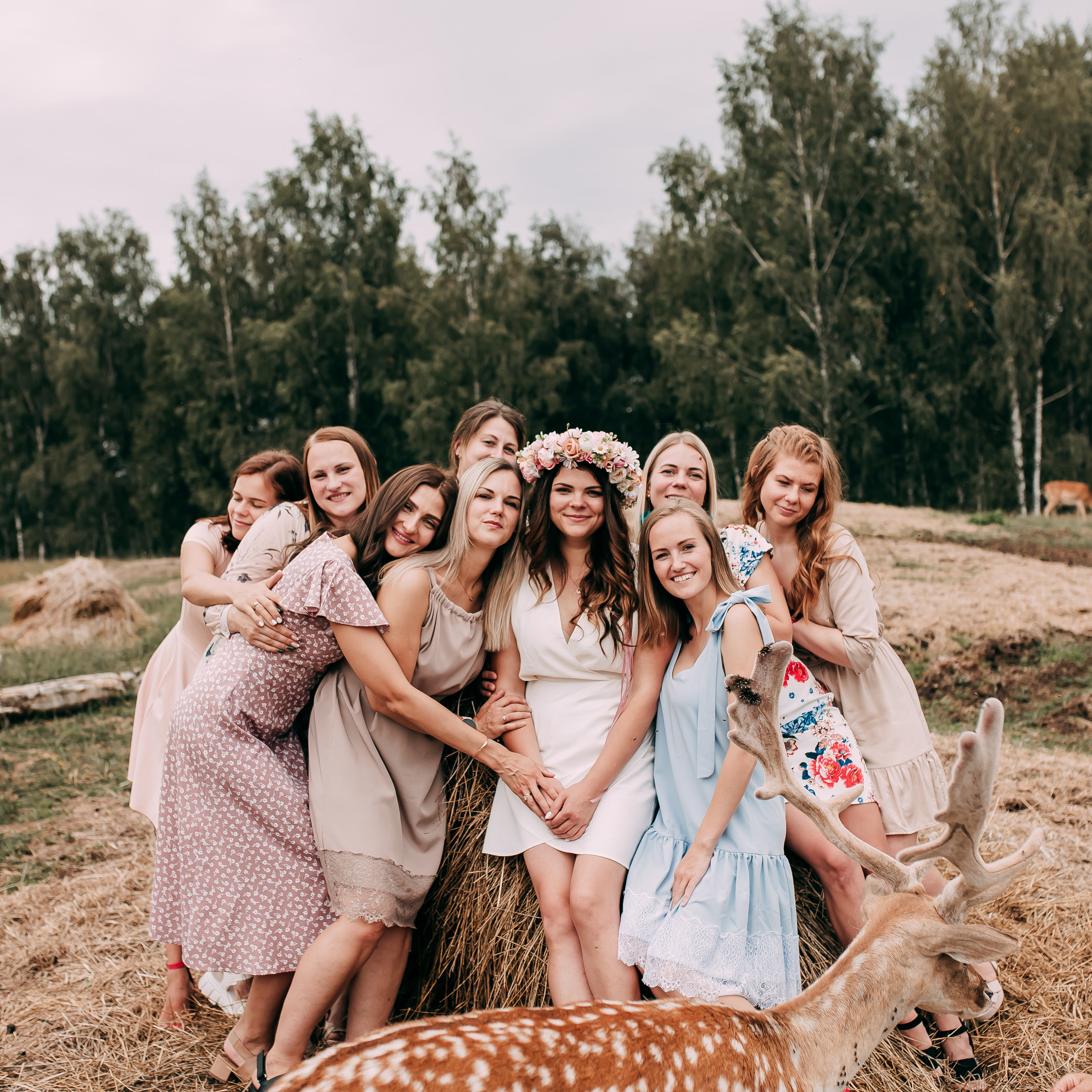 Atsauksmes. Fotogrāfe Līga Vaidere