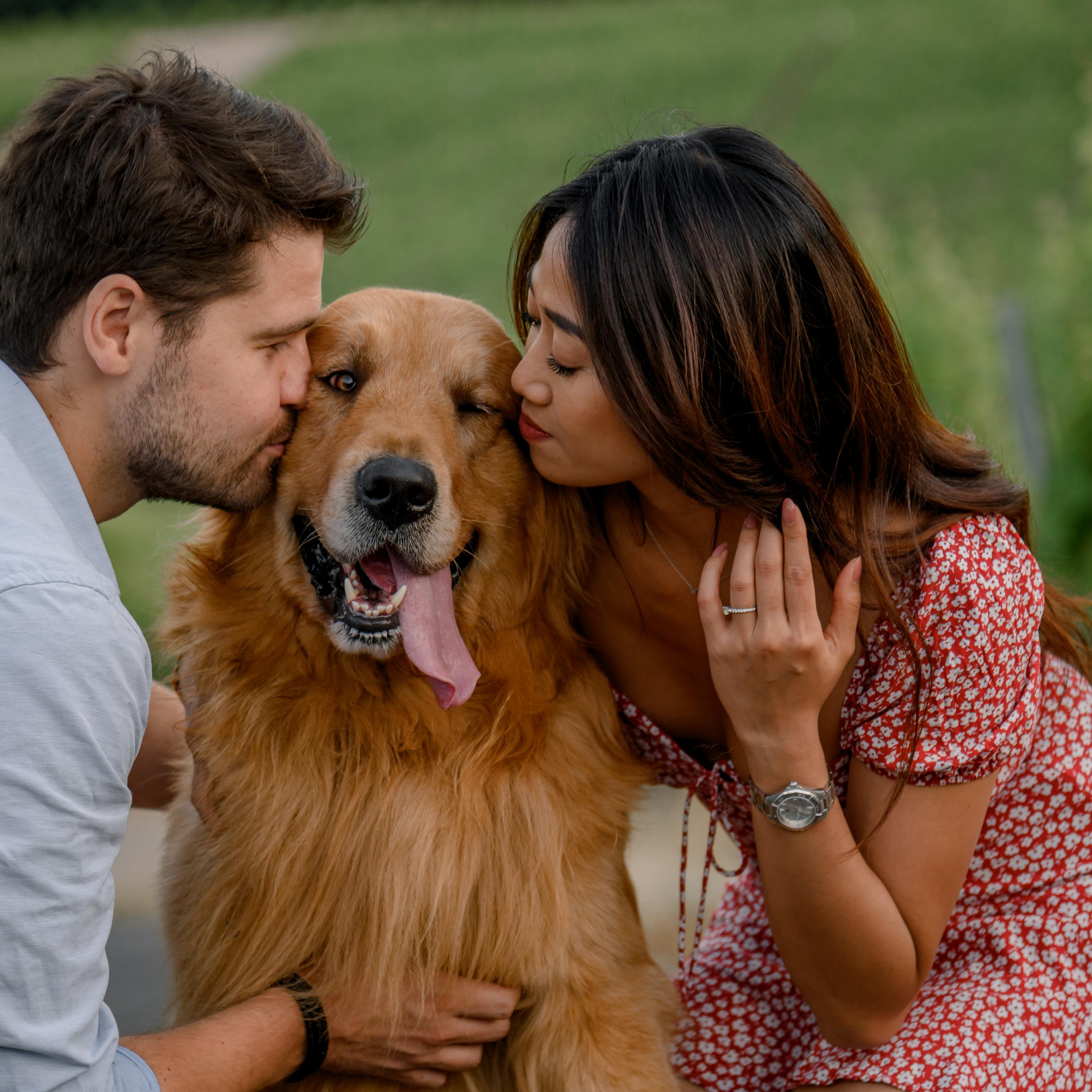 Story about love&dog in Moselle