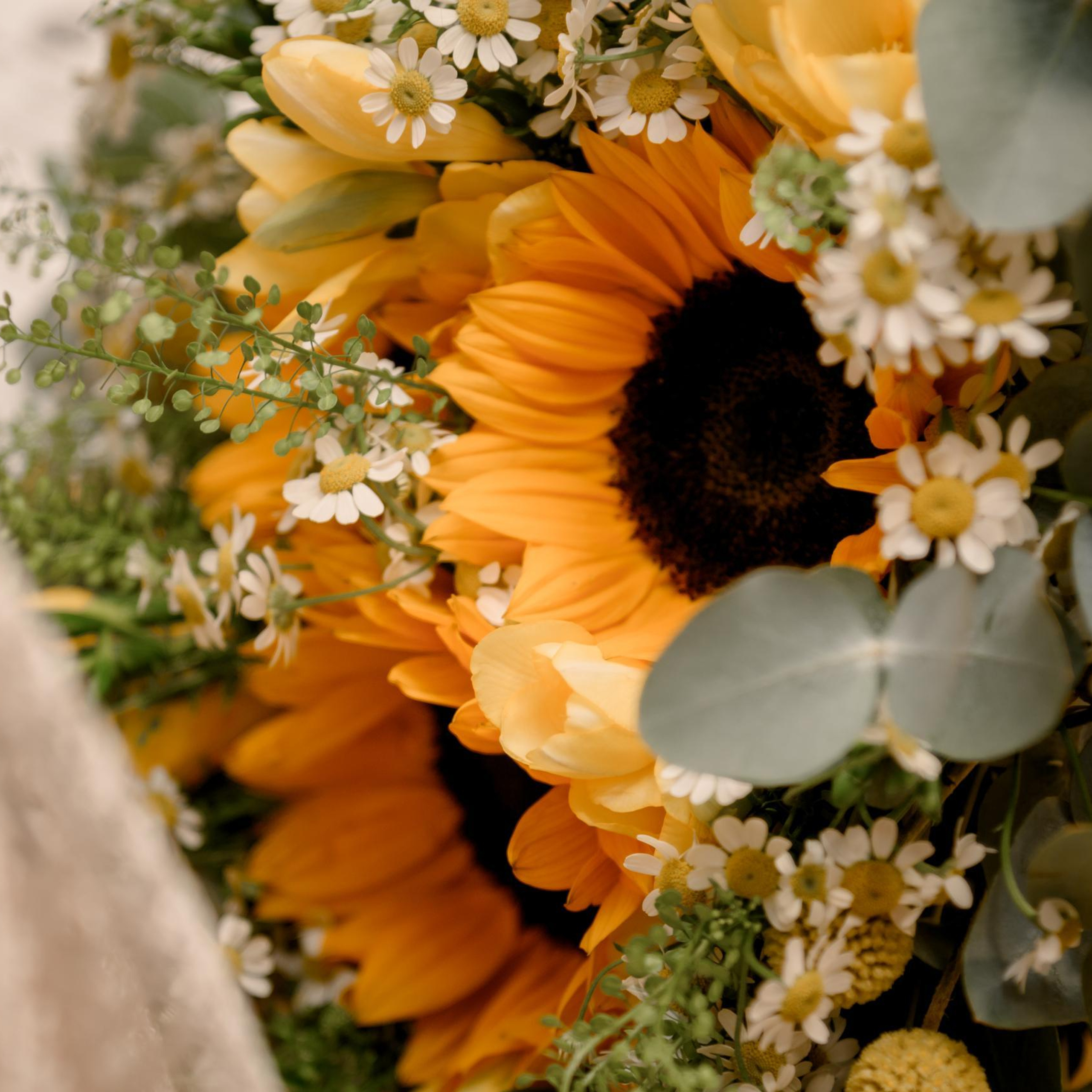 Reviews. Photographer in Luxembourg Tanita