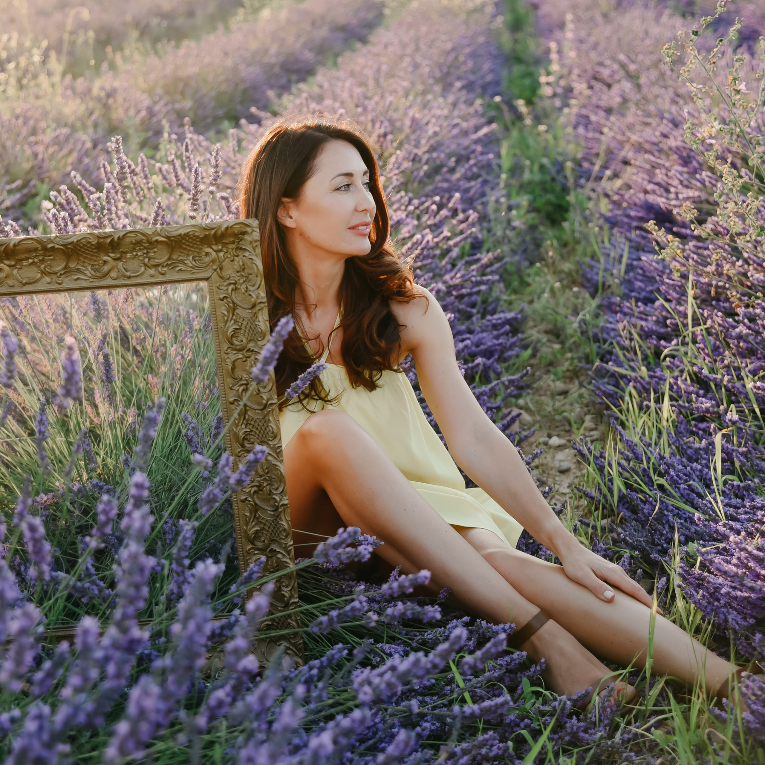 Provence (lavande field) France