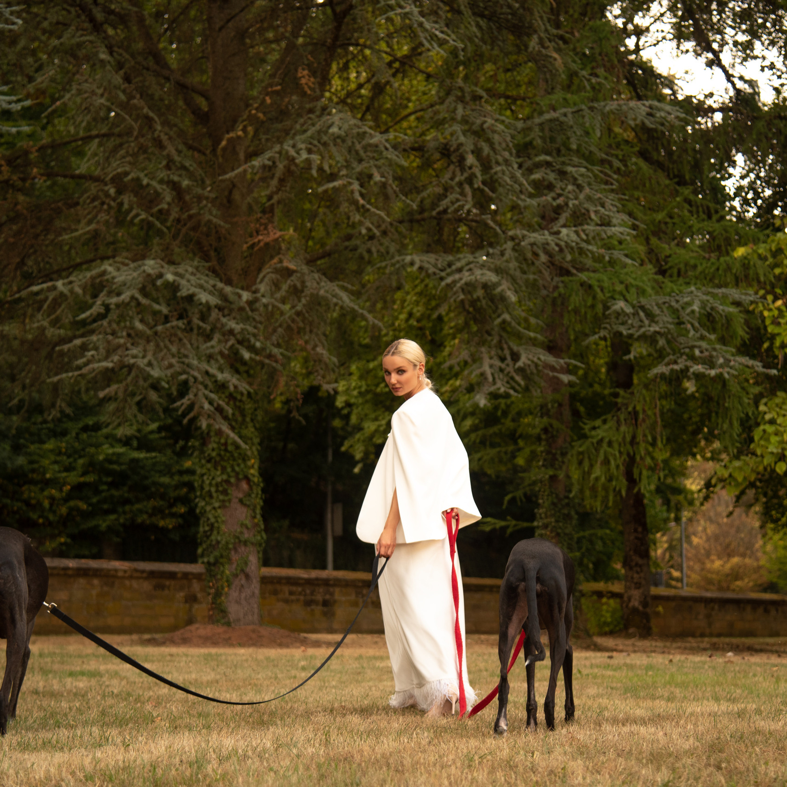 Concept photoshoot Luxembourg (with Greyhound dogs)