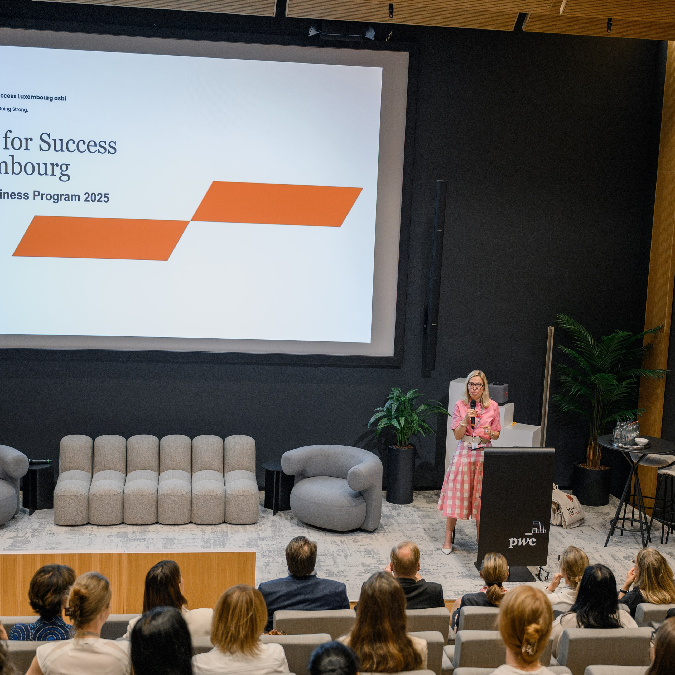 Dress For Success asbl at Pwc Luxembourg