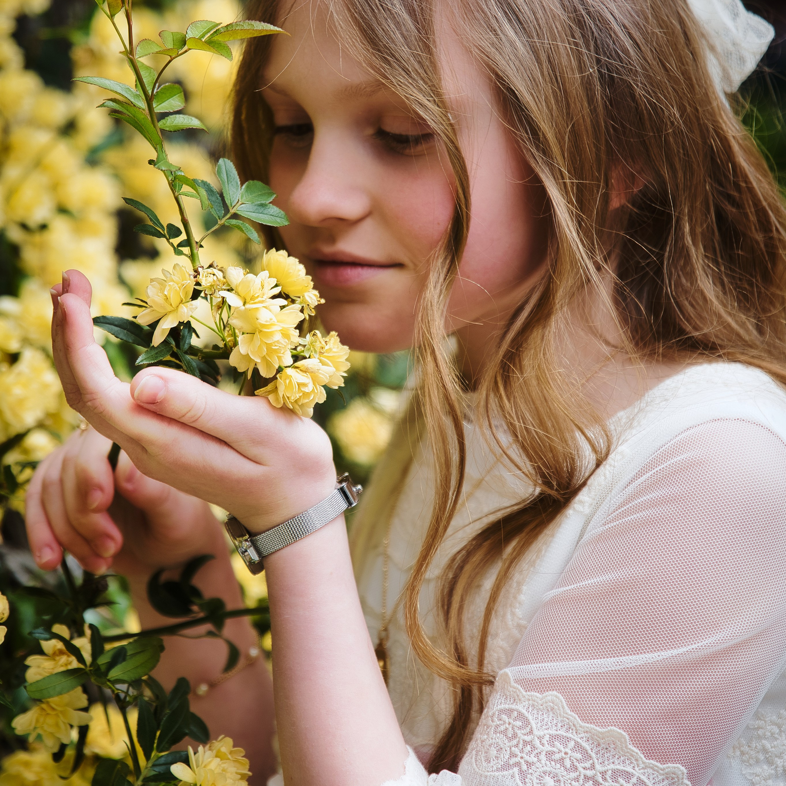 Agradecimiento fotograficos. Fotógrafo y videógrafo en Córdoba (España)