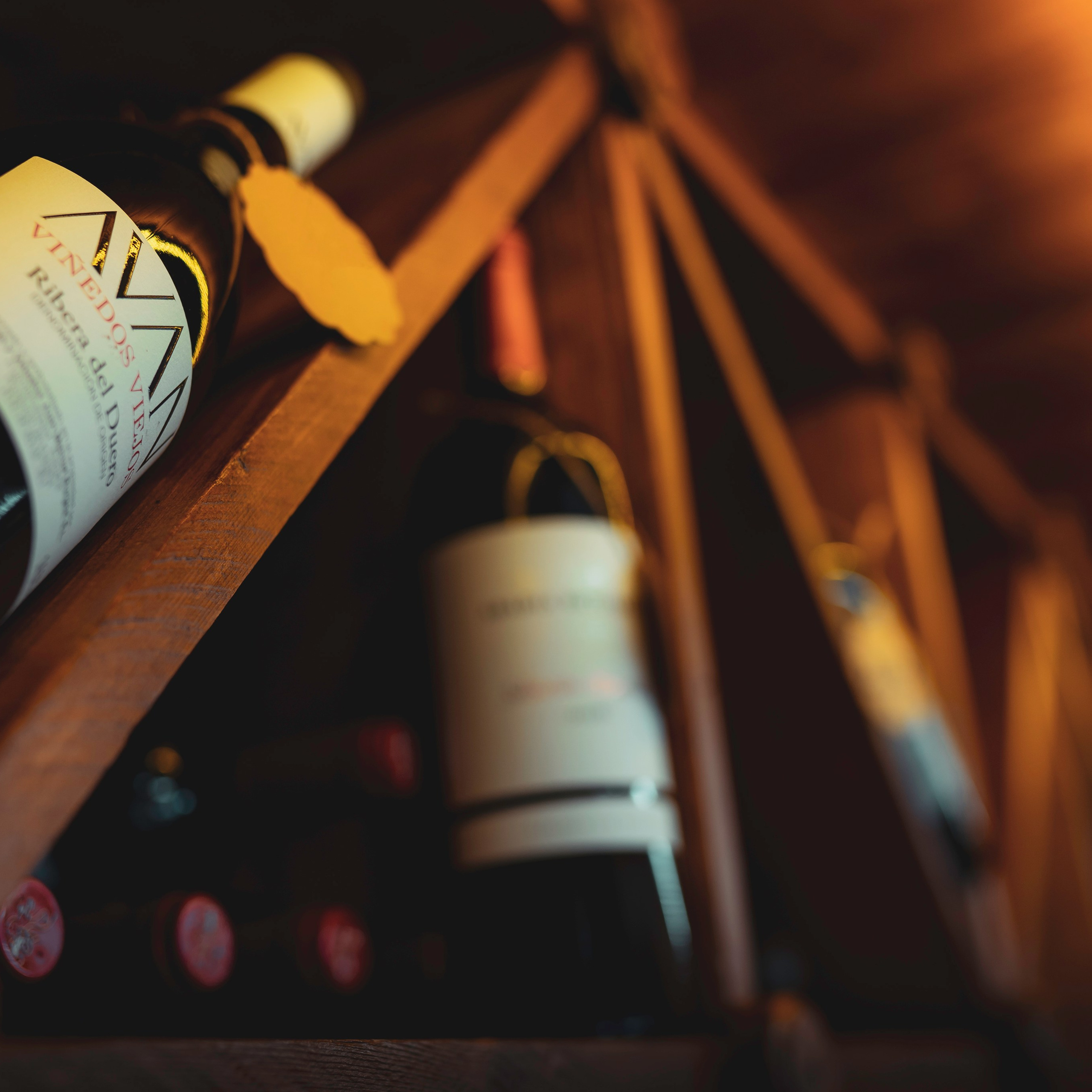 Testimonios. Baby Beast