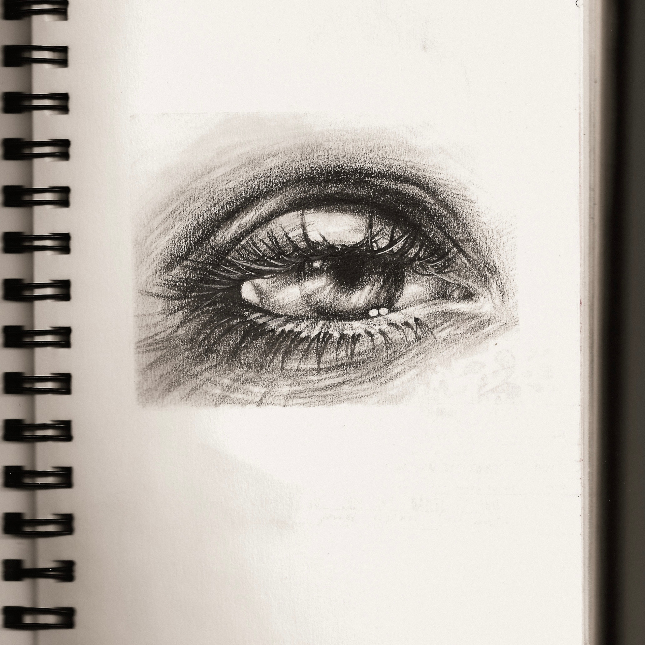 Скетчбуки. Художник преподаватель Полина Черноярова