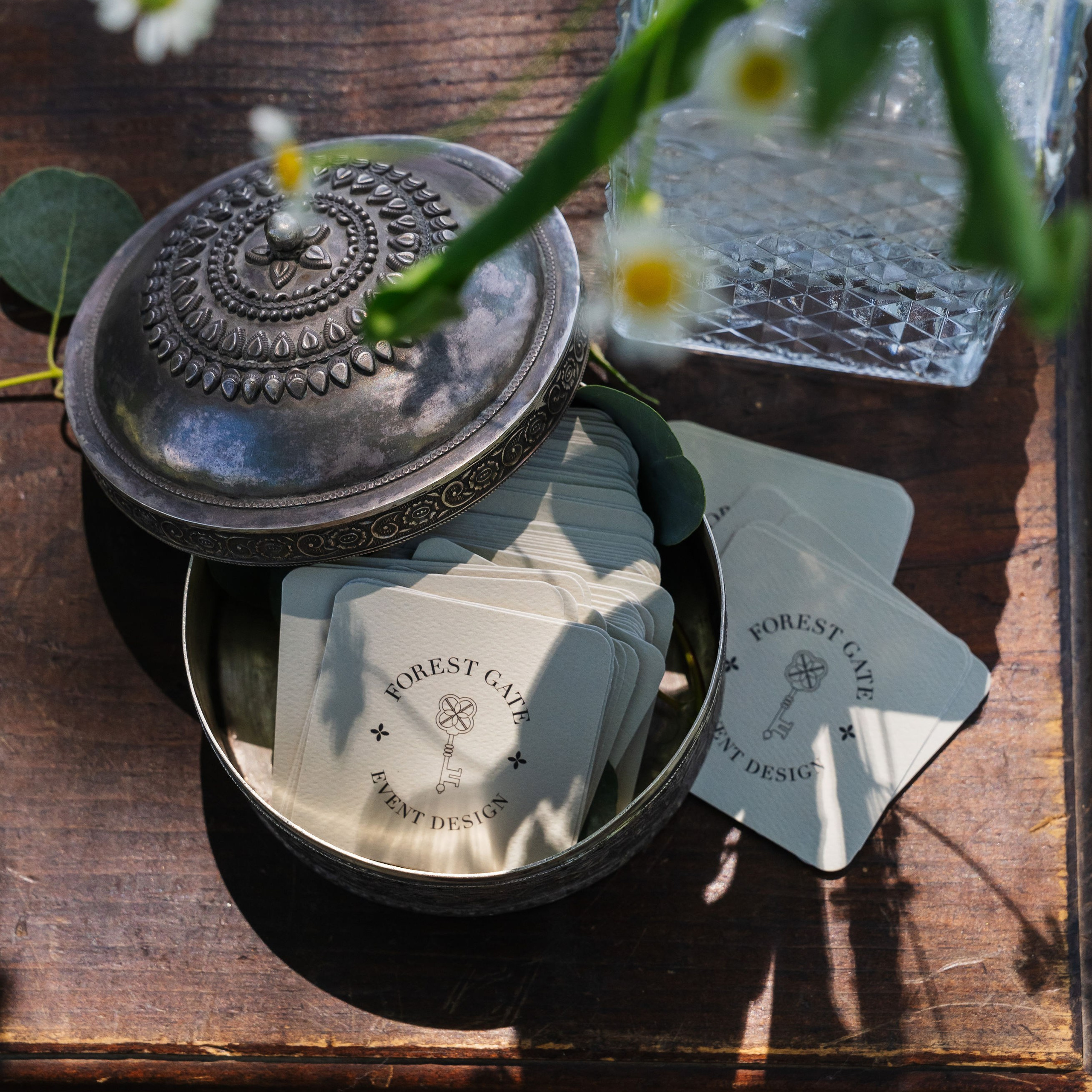 Feedback. Barbarica. Photography