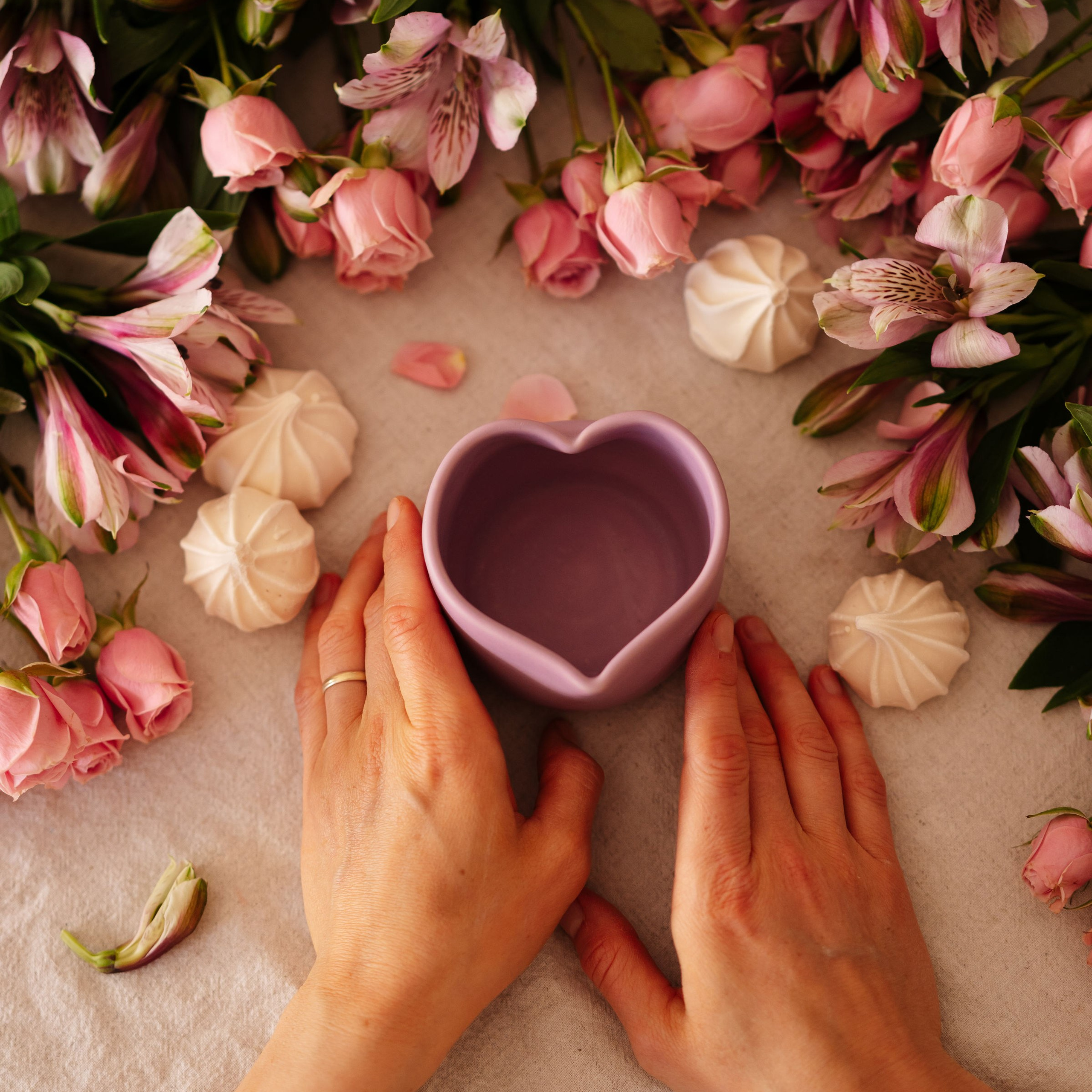 Feedback. Barbarica. Photography