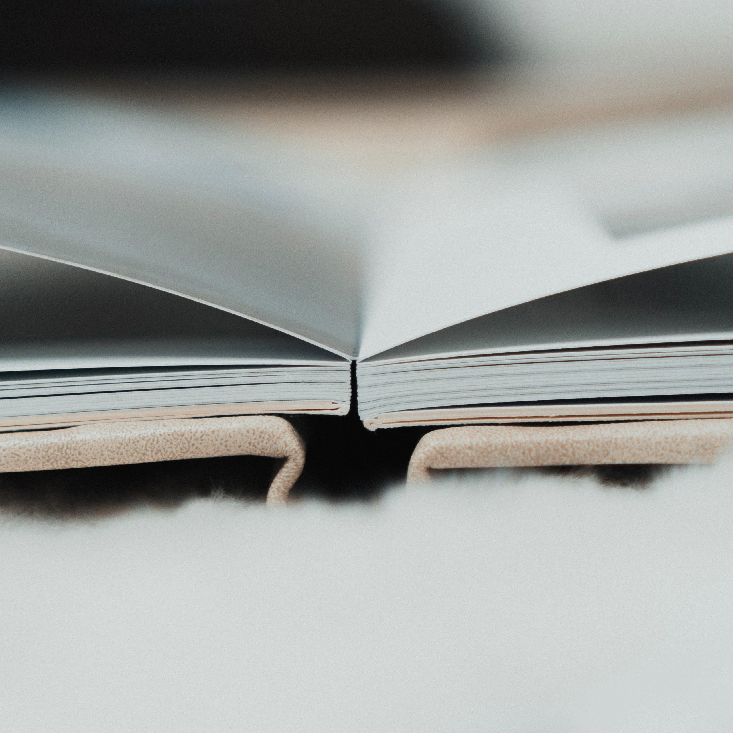 Bērnudārza grupas fotosesija