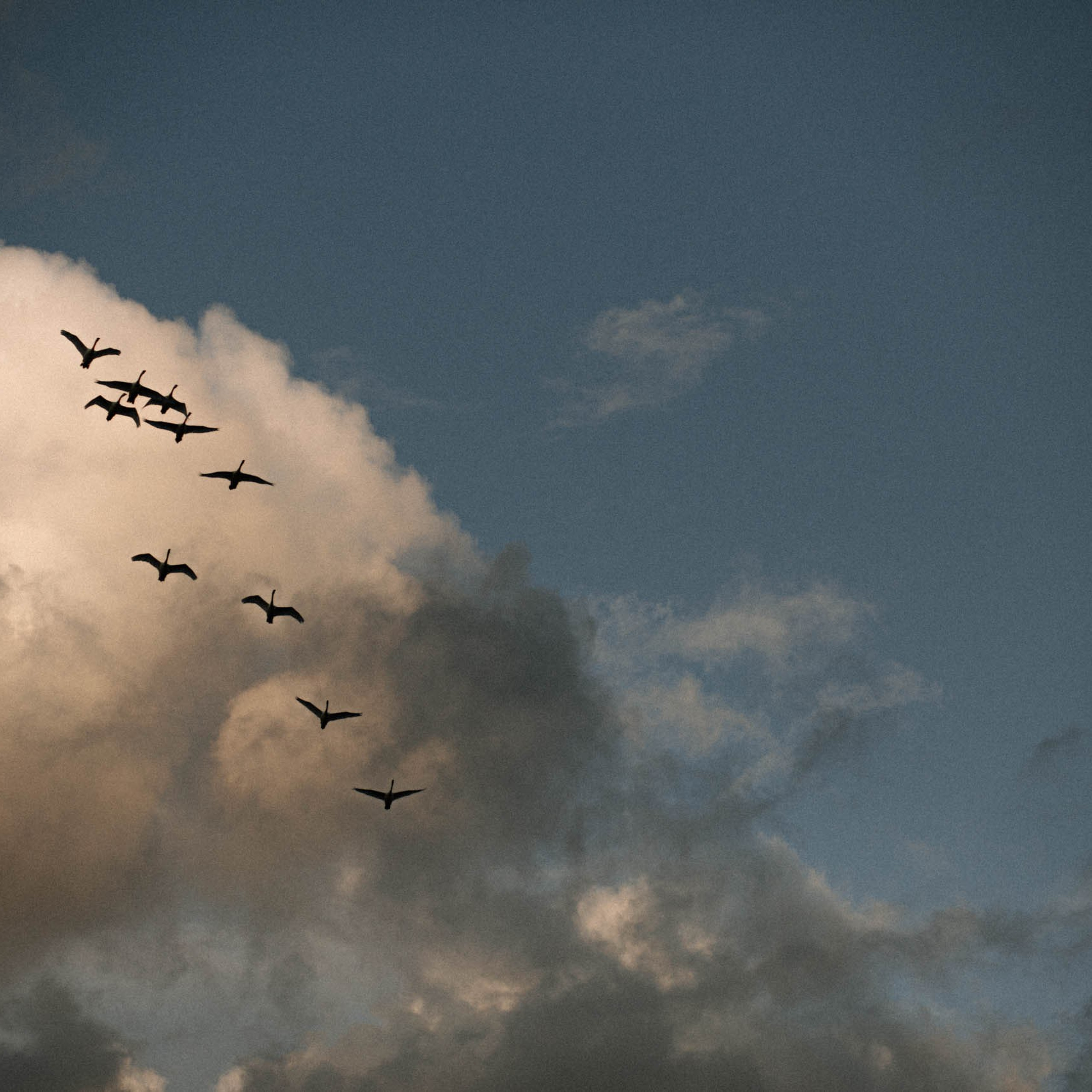 IETEIKUMI ĢIMENES FOTOSESIJAI