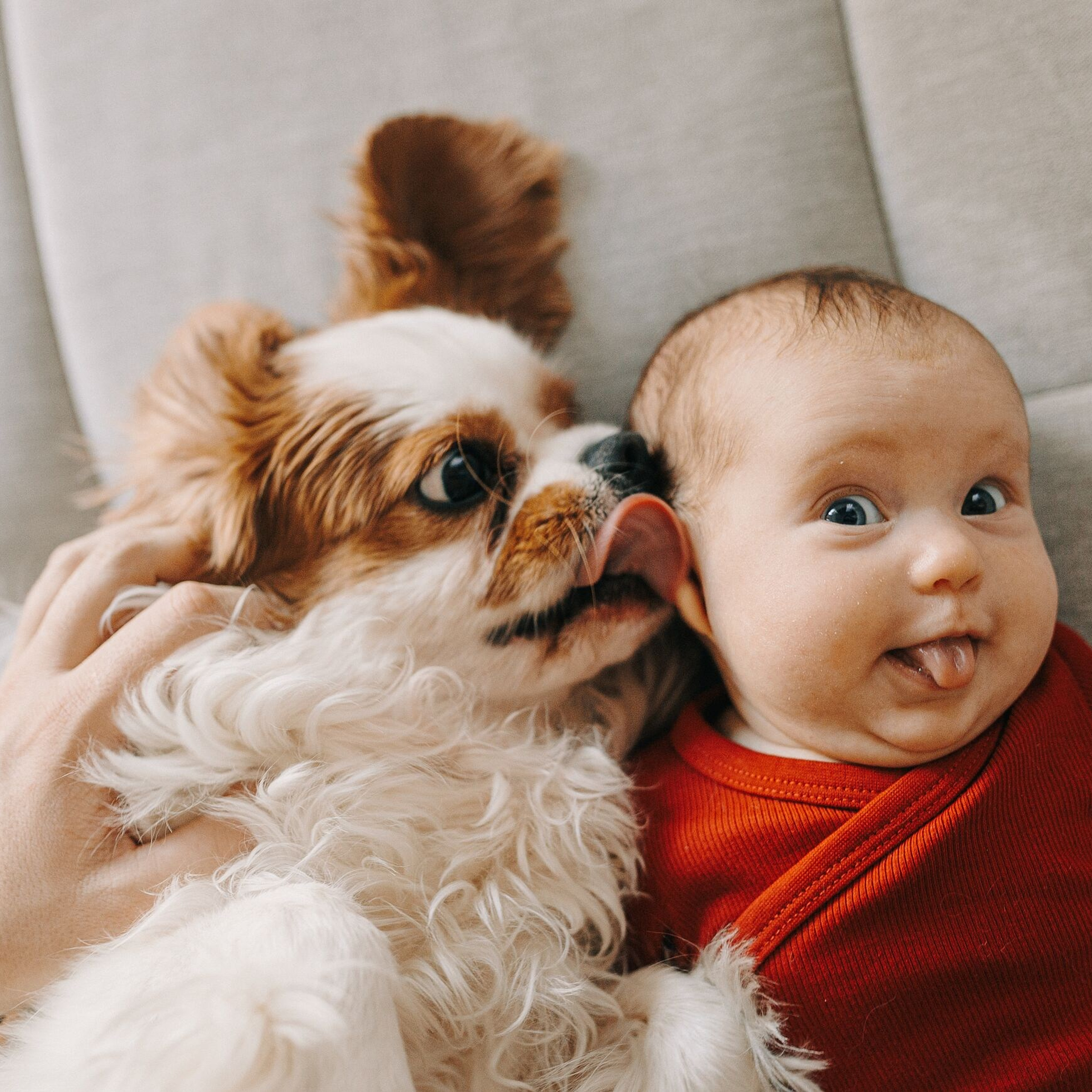 DĀVANU KARTE - ĢIMENES FOTOSESIJA