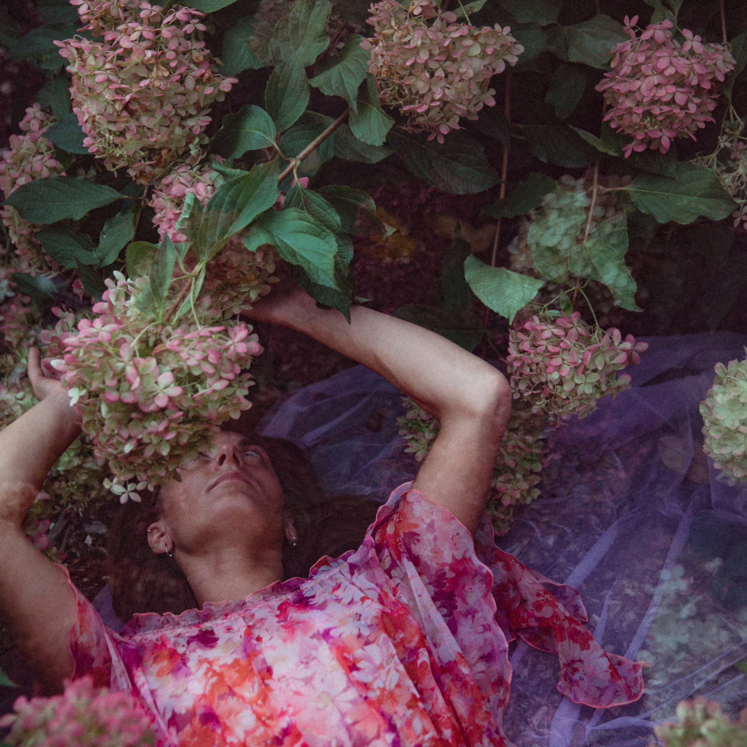 Krista Flower garden