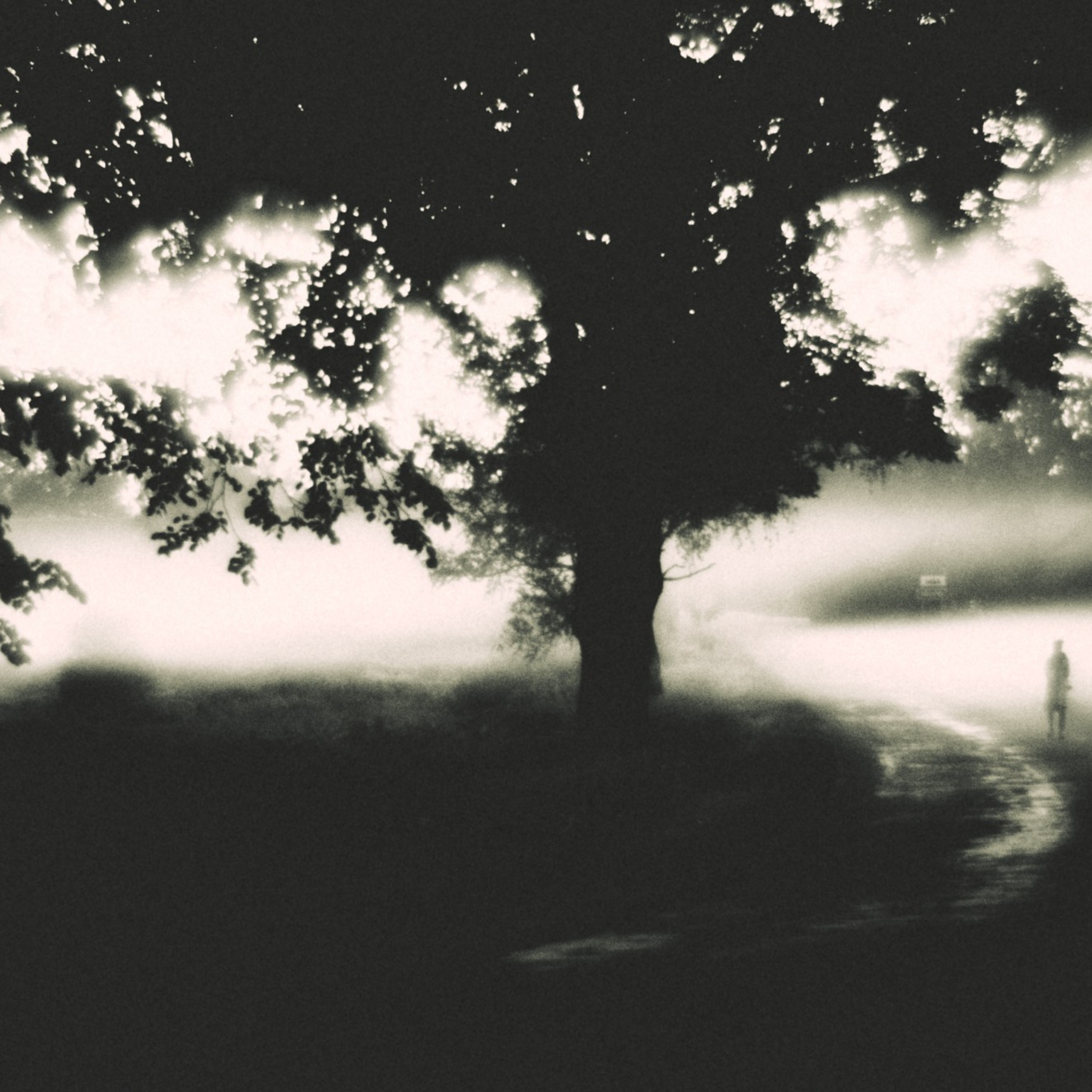 A.Dukura Jāņu laika perfomances