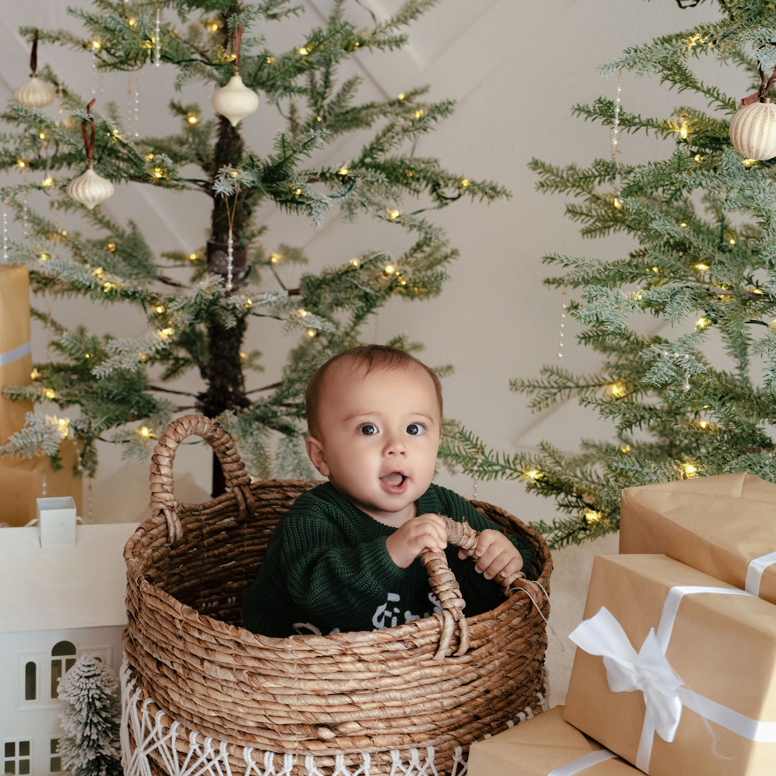 Christmas Studio Mini Sessions — Family Photography in Jacksonville, FL