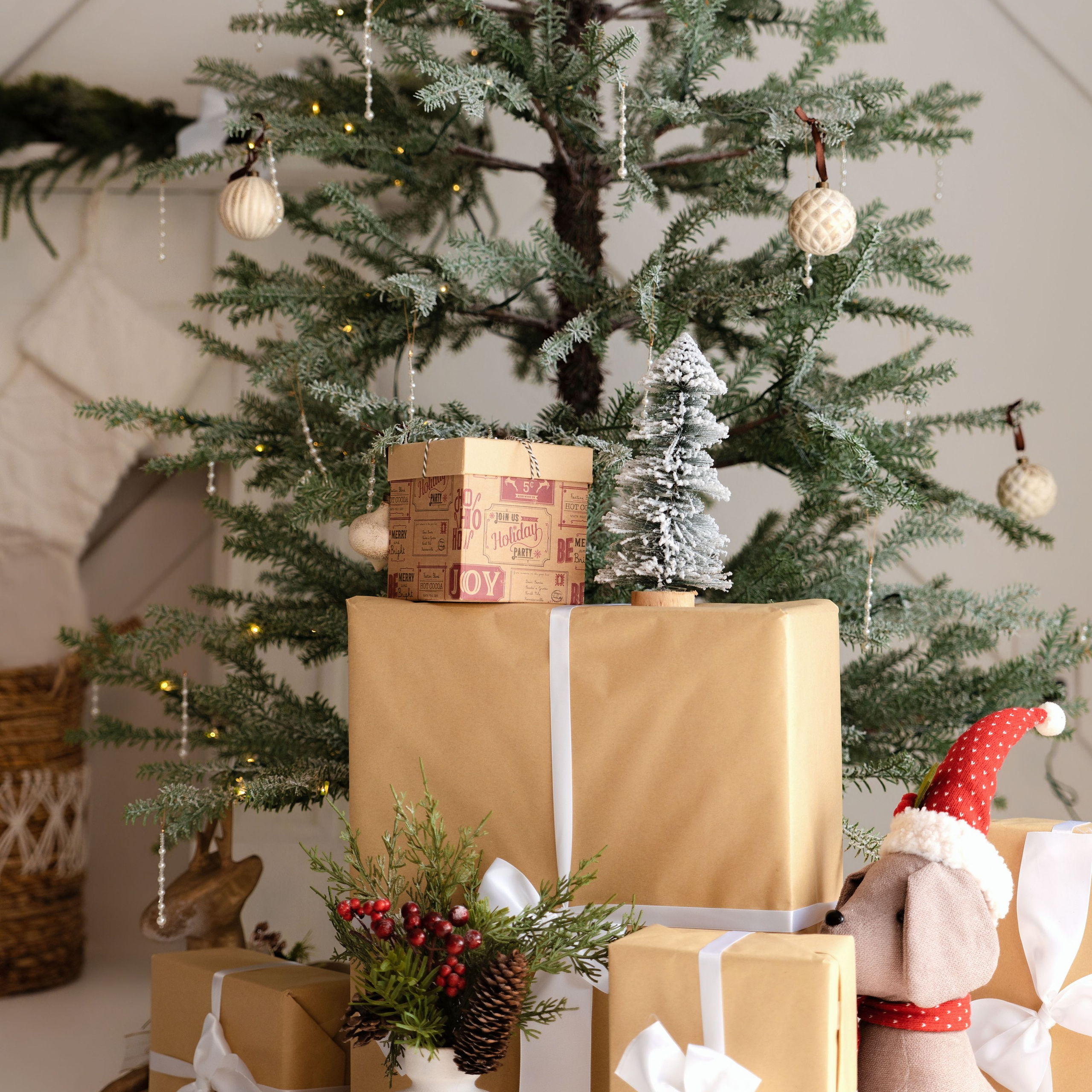 Christmas Studio Mini Sessions — Family Photography in Jacksonville, FL