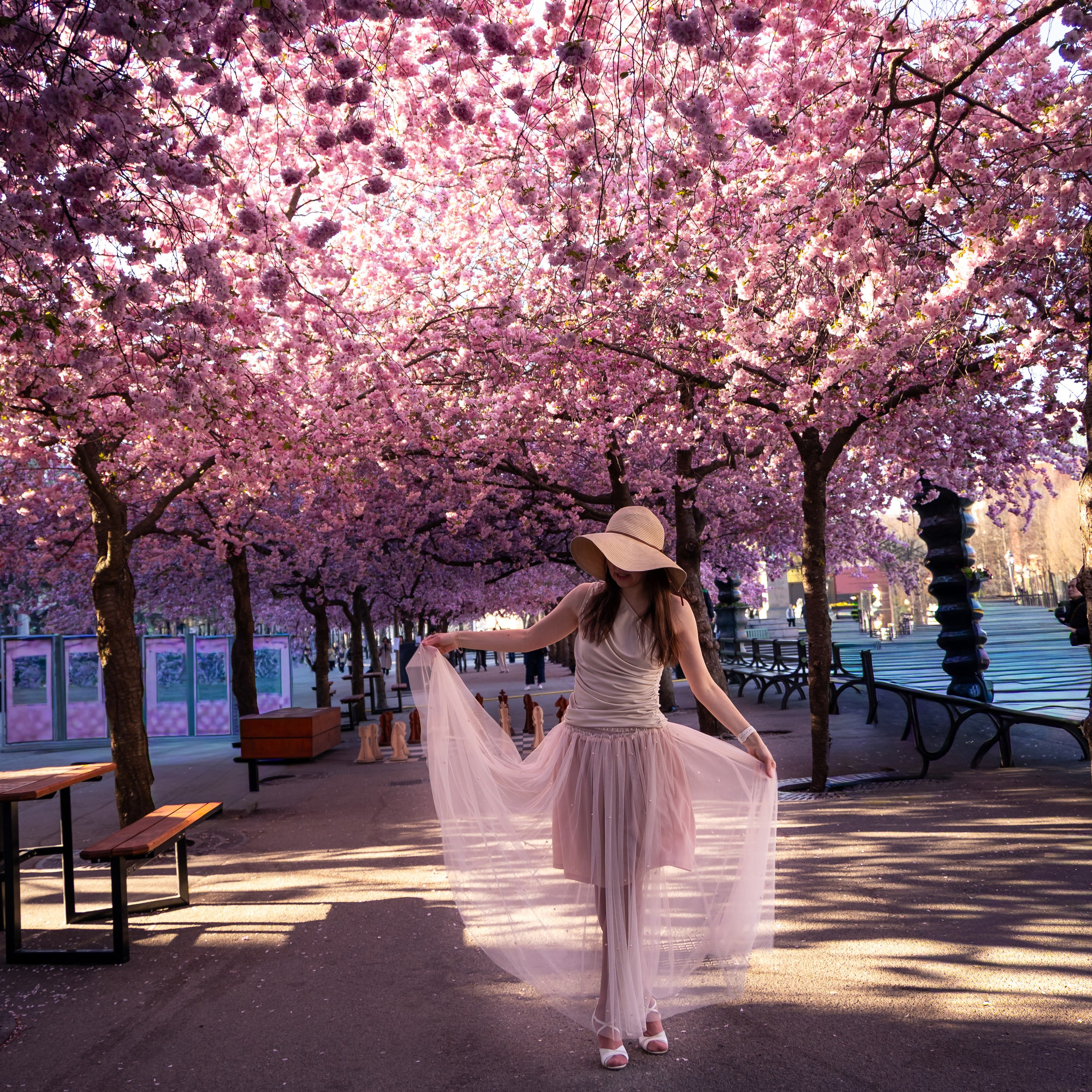 Sakura Mood