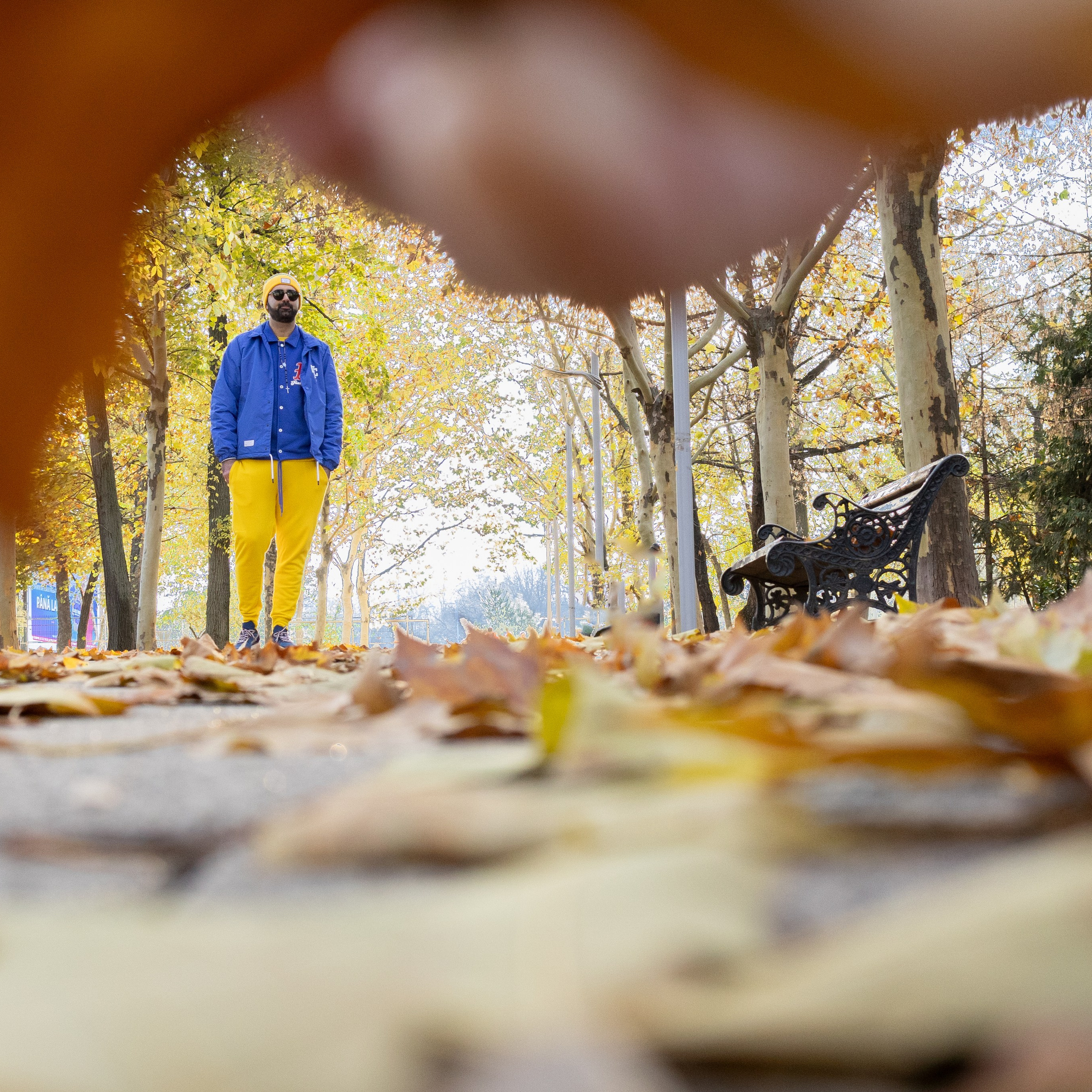 Portrete In Natura — Colaj