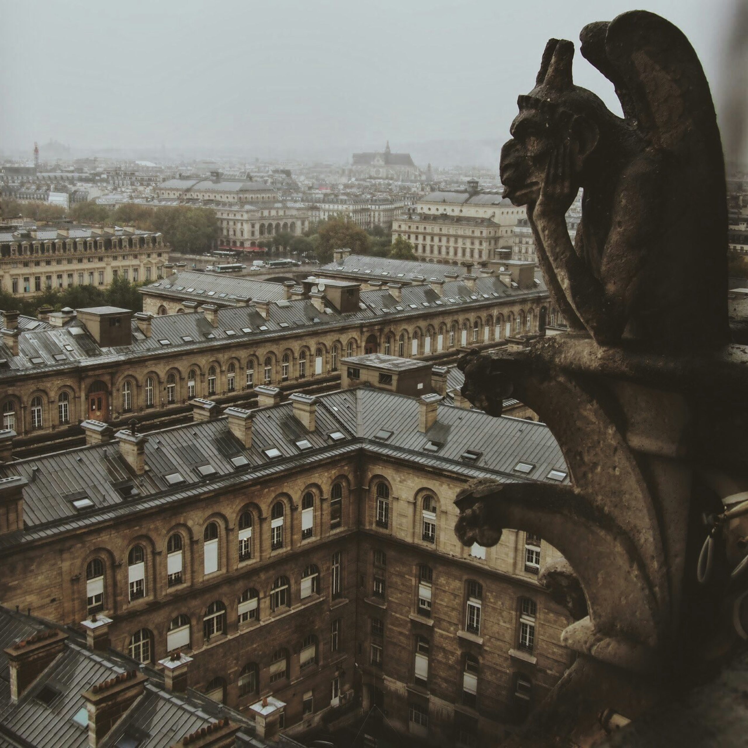 Литература и эстетика фото. Ленивый фотоблог